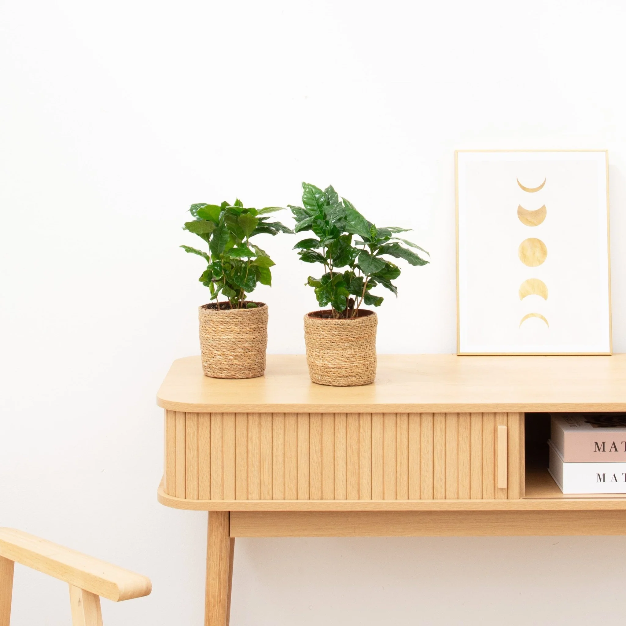 Miniatuur 1