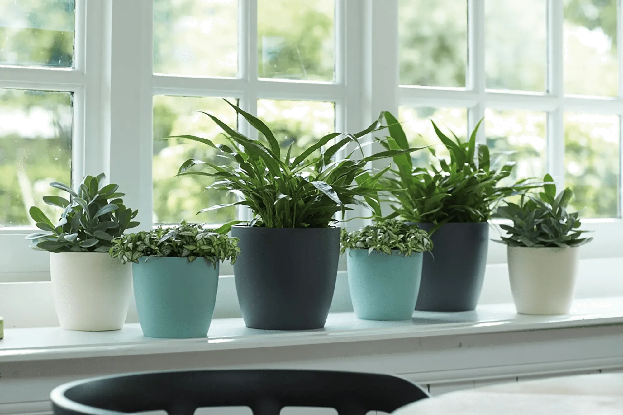 Miniatuur 2