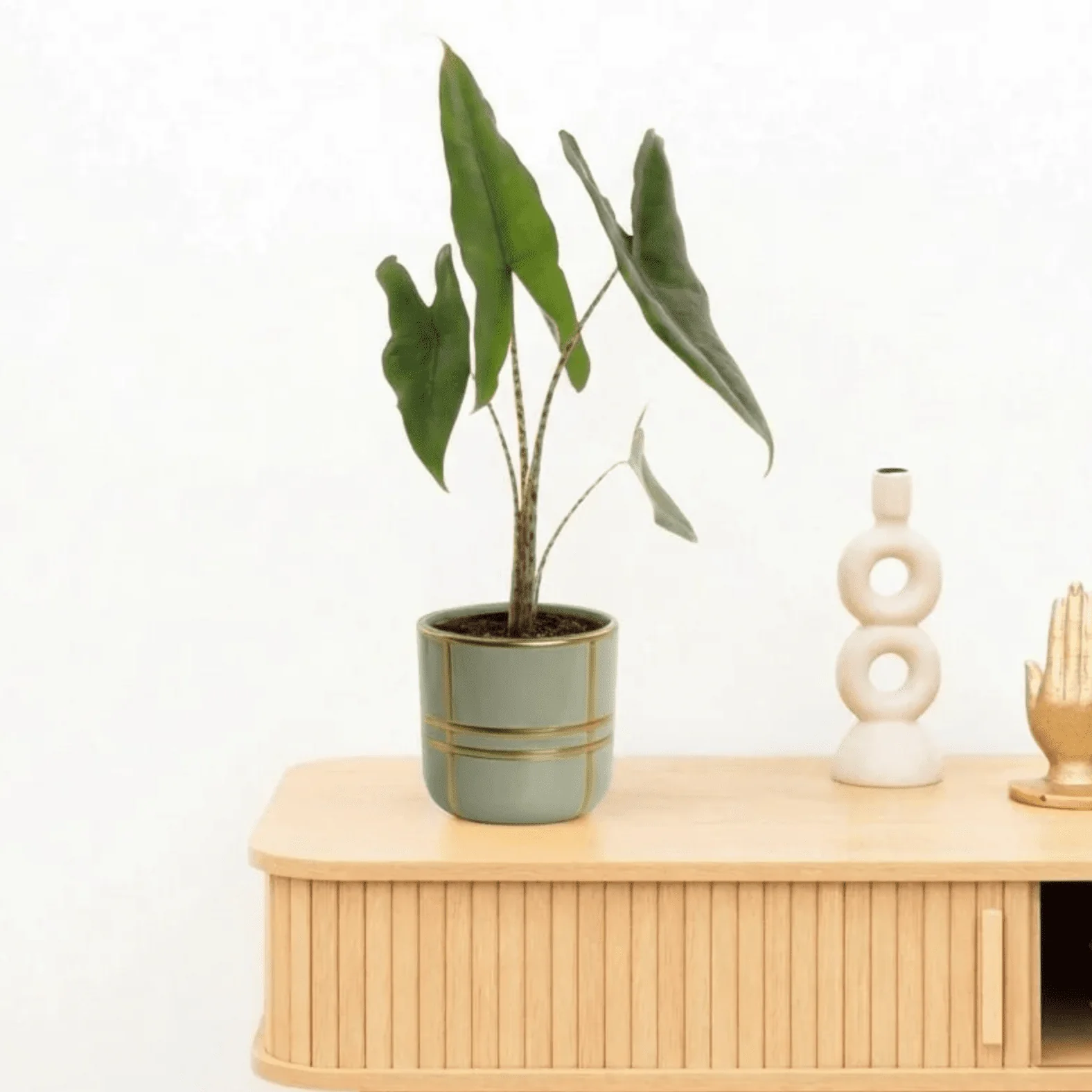 Miniatuur 1