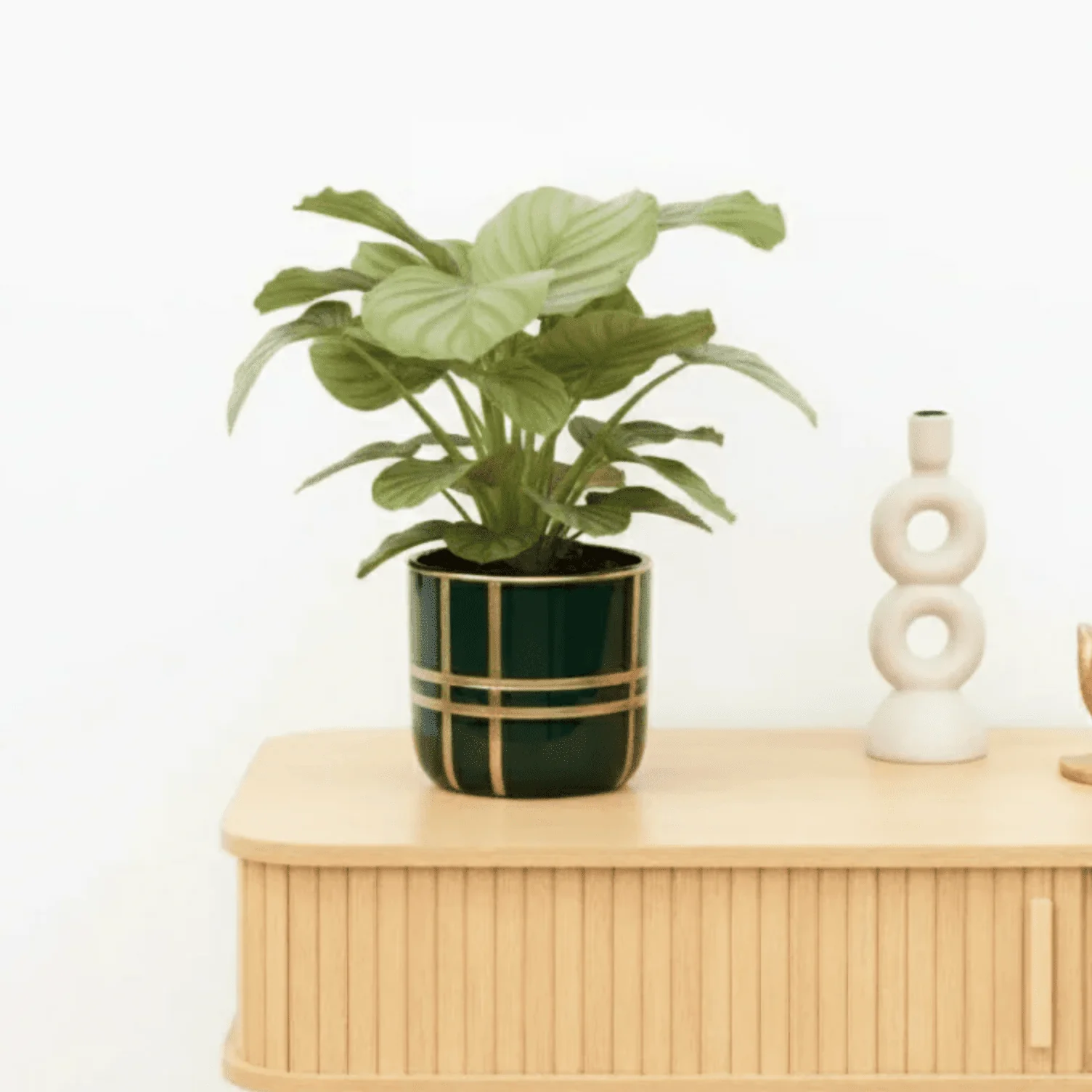 Miniatuur 1