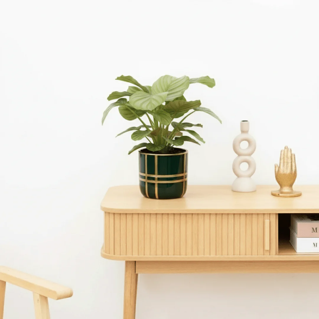 Miniatuur 2