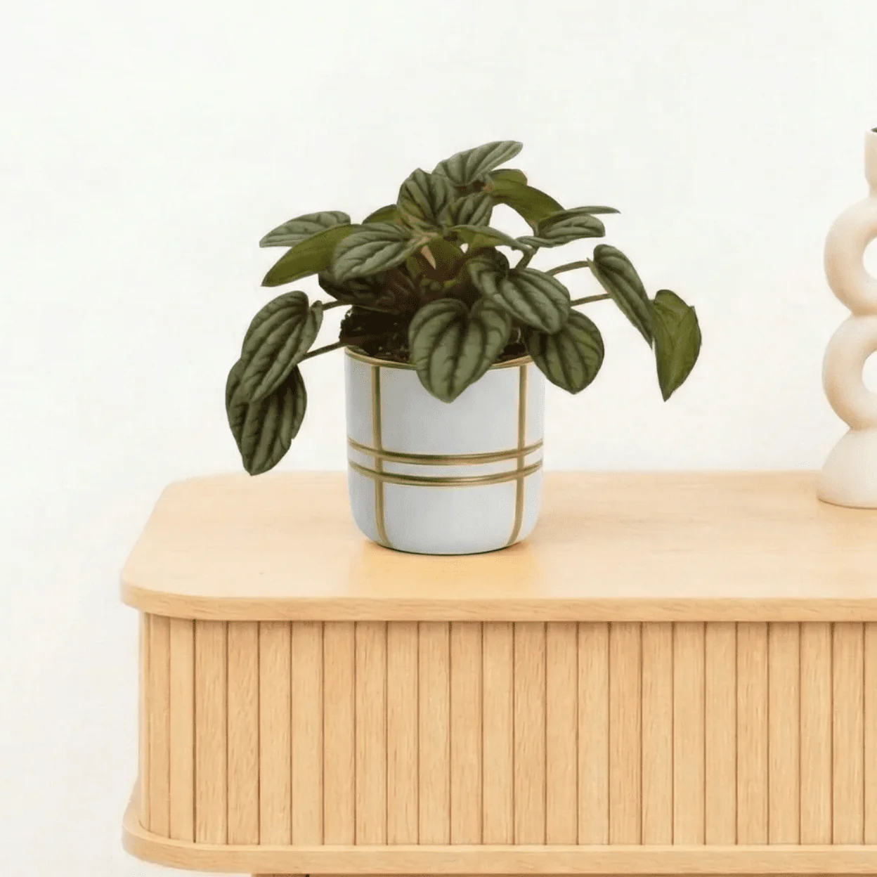 Miniatuur 1