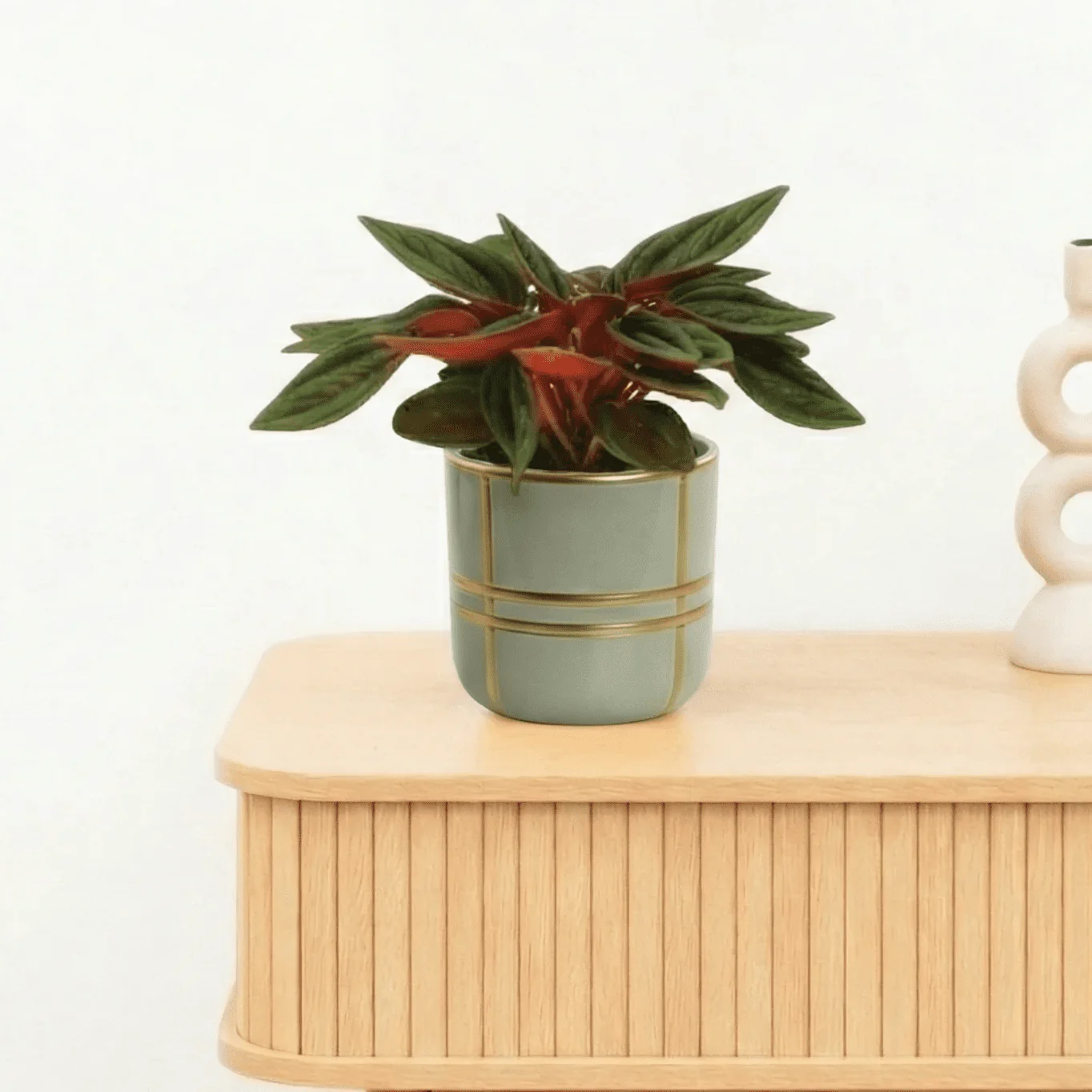 Miniatuur 1