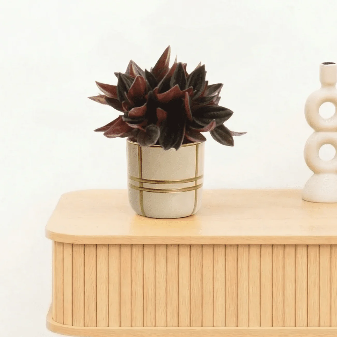 Miniatuur 1