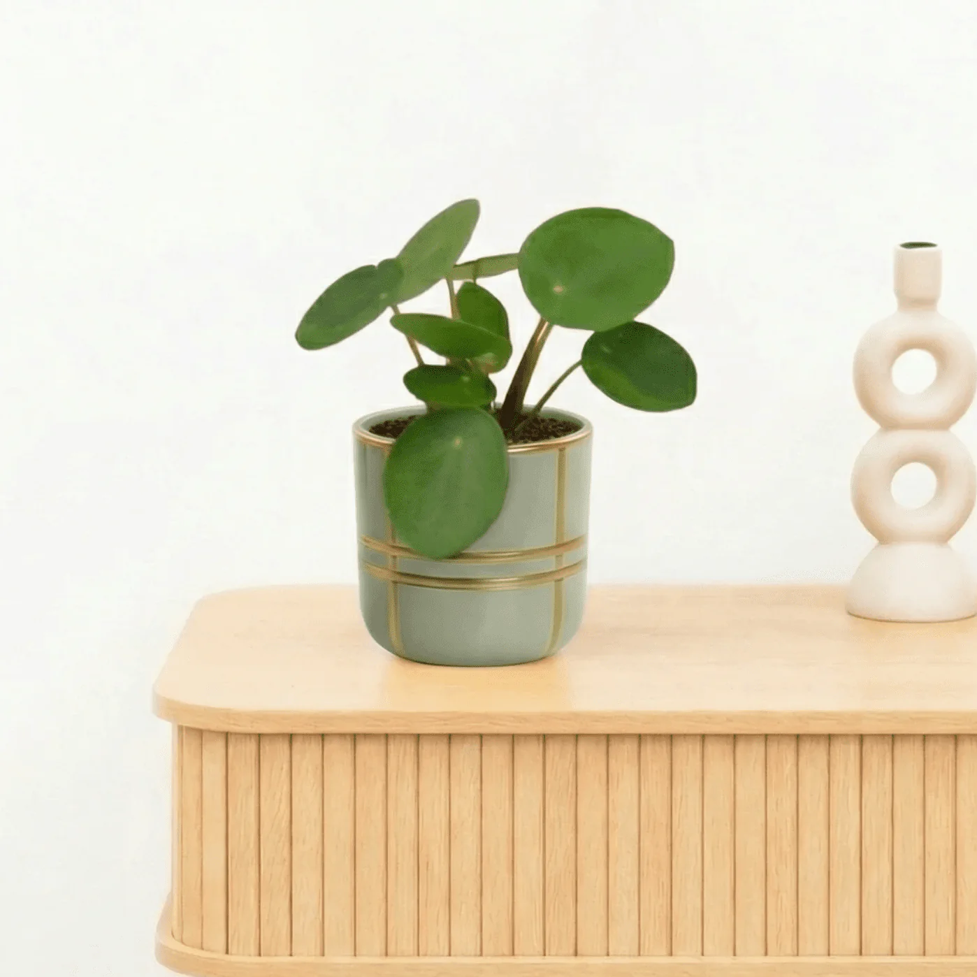 Miniatuur 1