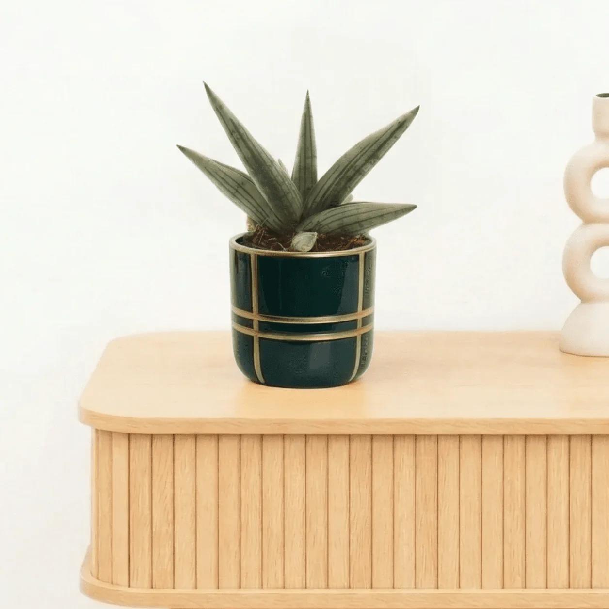 Miniatuur 1