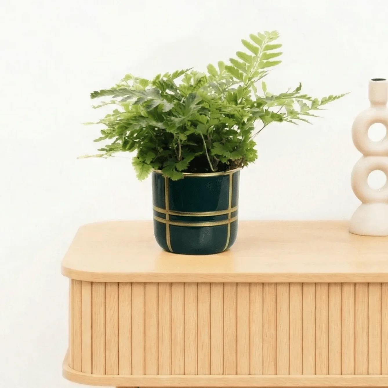 Miniatuur 1