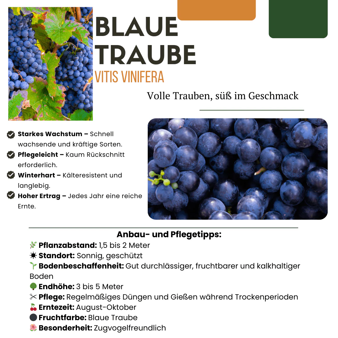 Productafbeelding 8