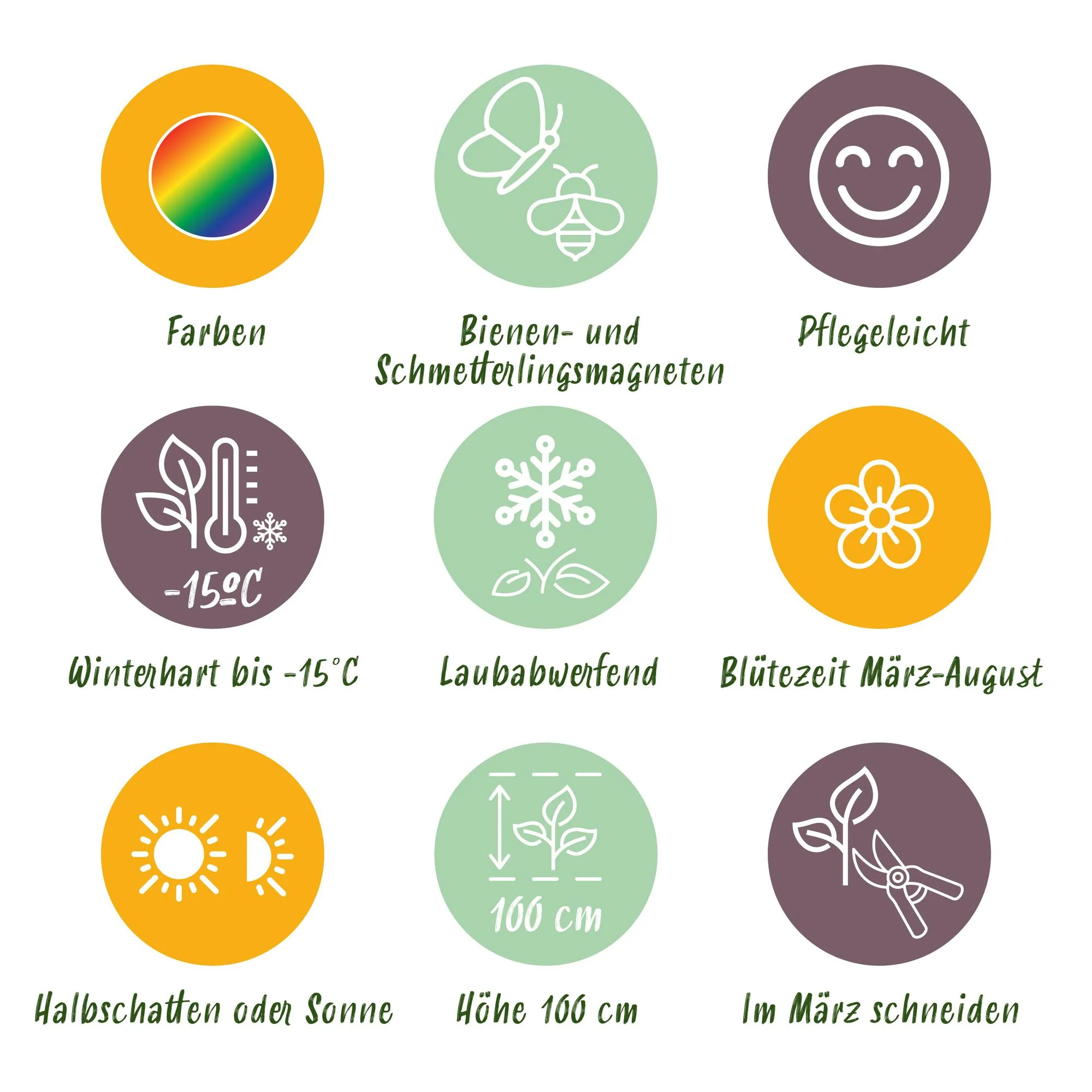 Productafbeelding 6