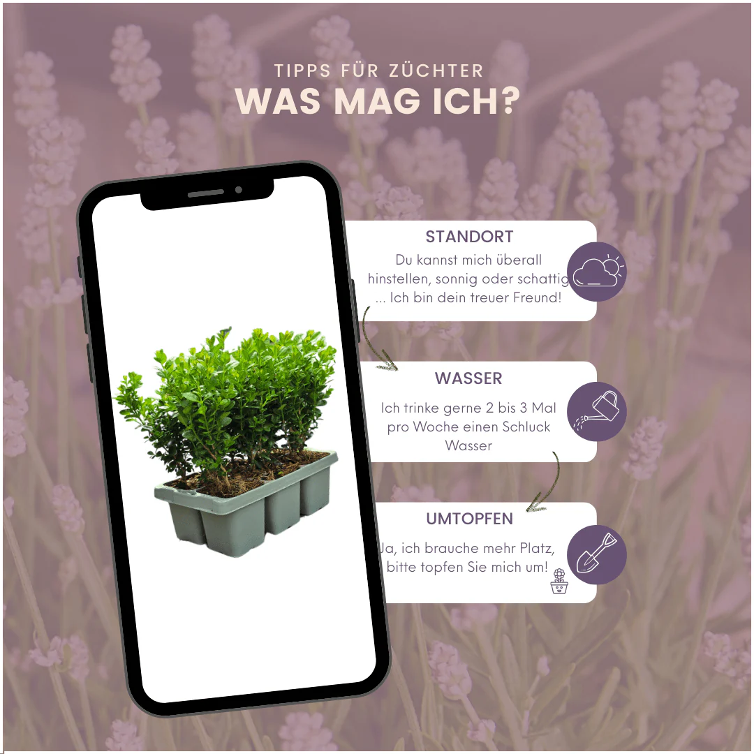 Productafbeelding 10