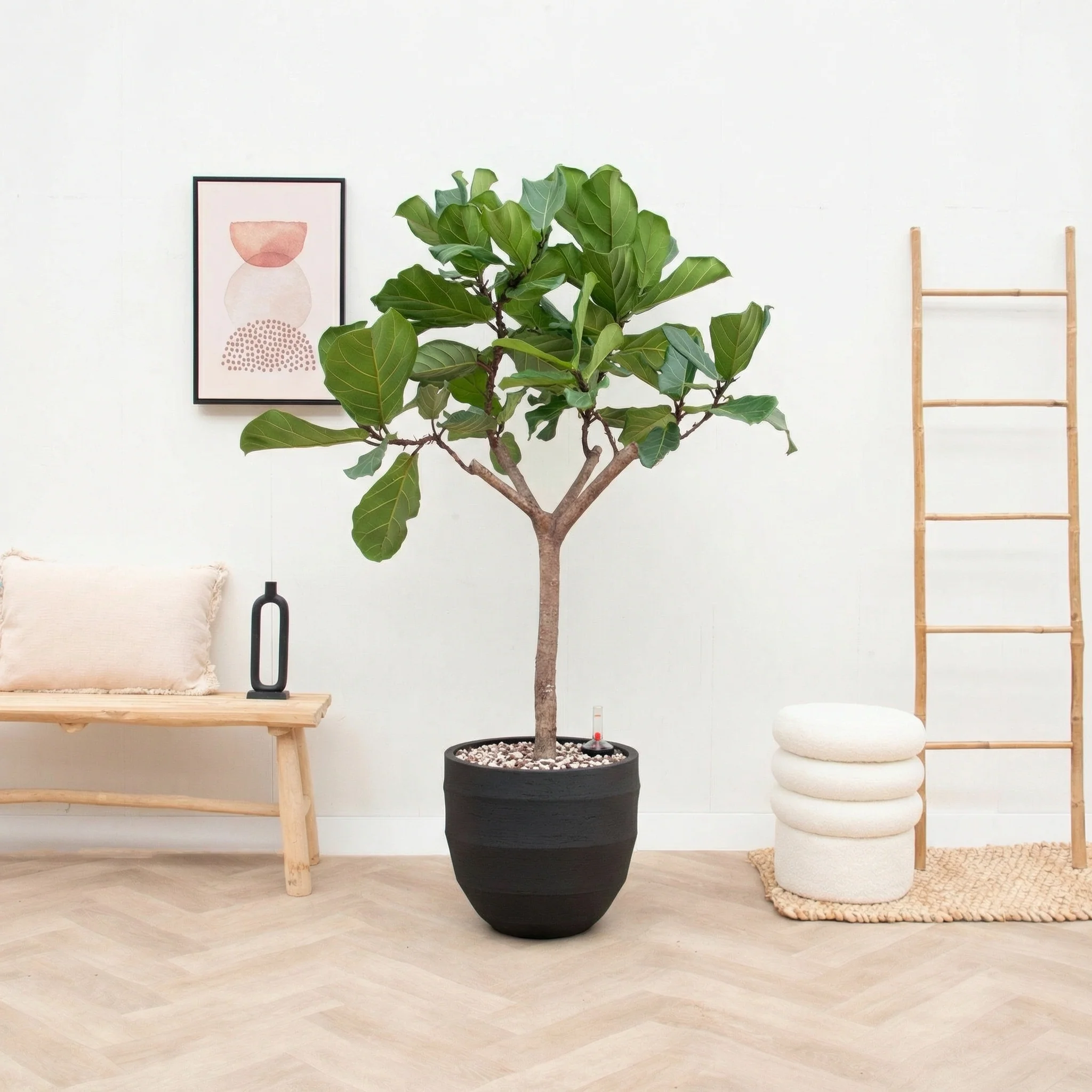 Miniatuur 1