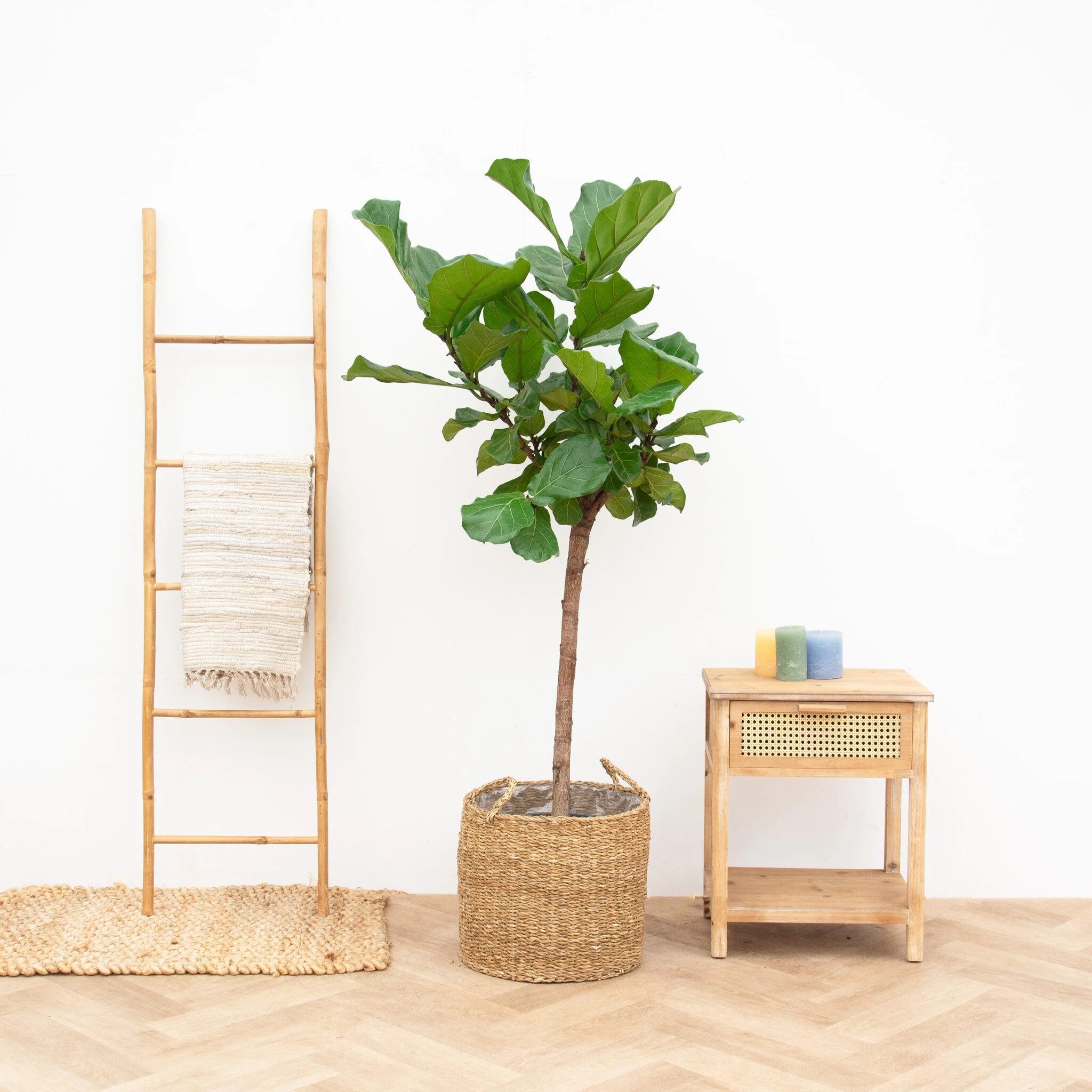 Miniatuur 2