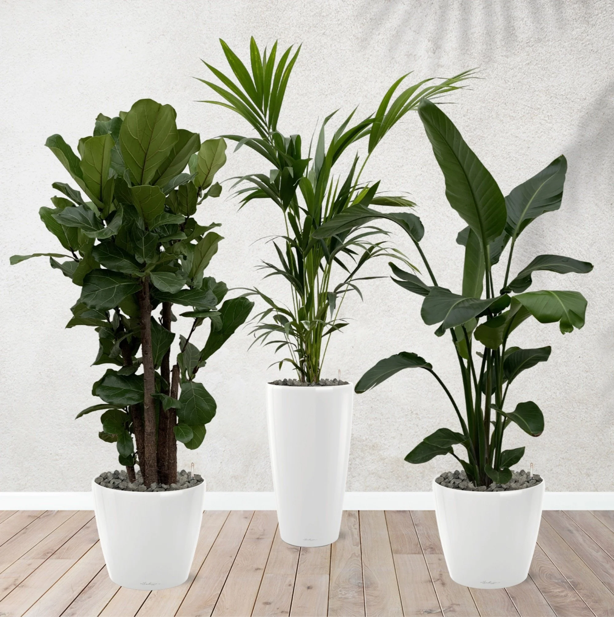 Miniatuur 2