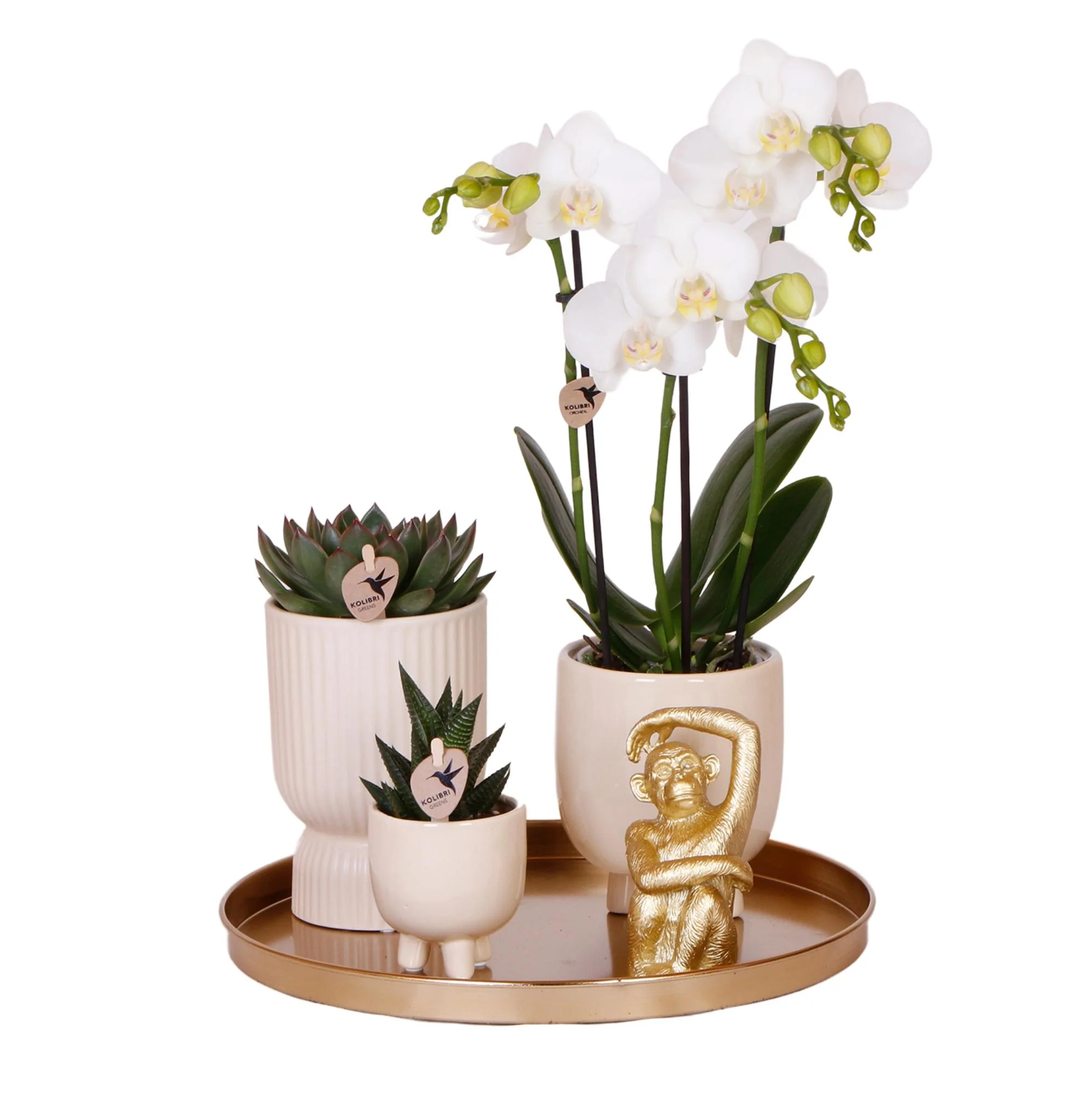 Miniatuur 1