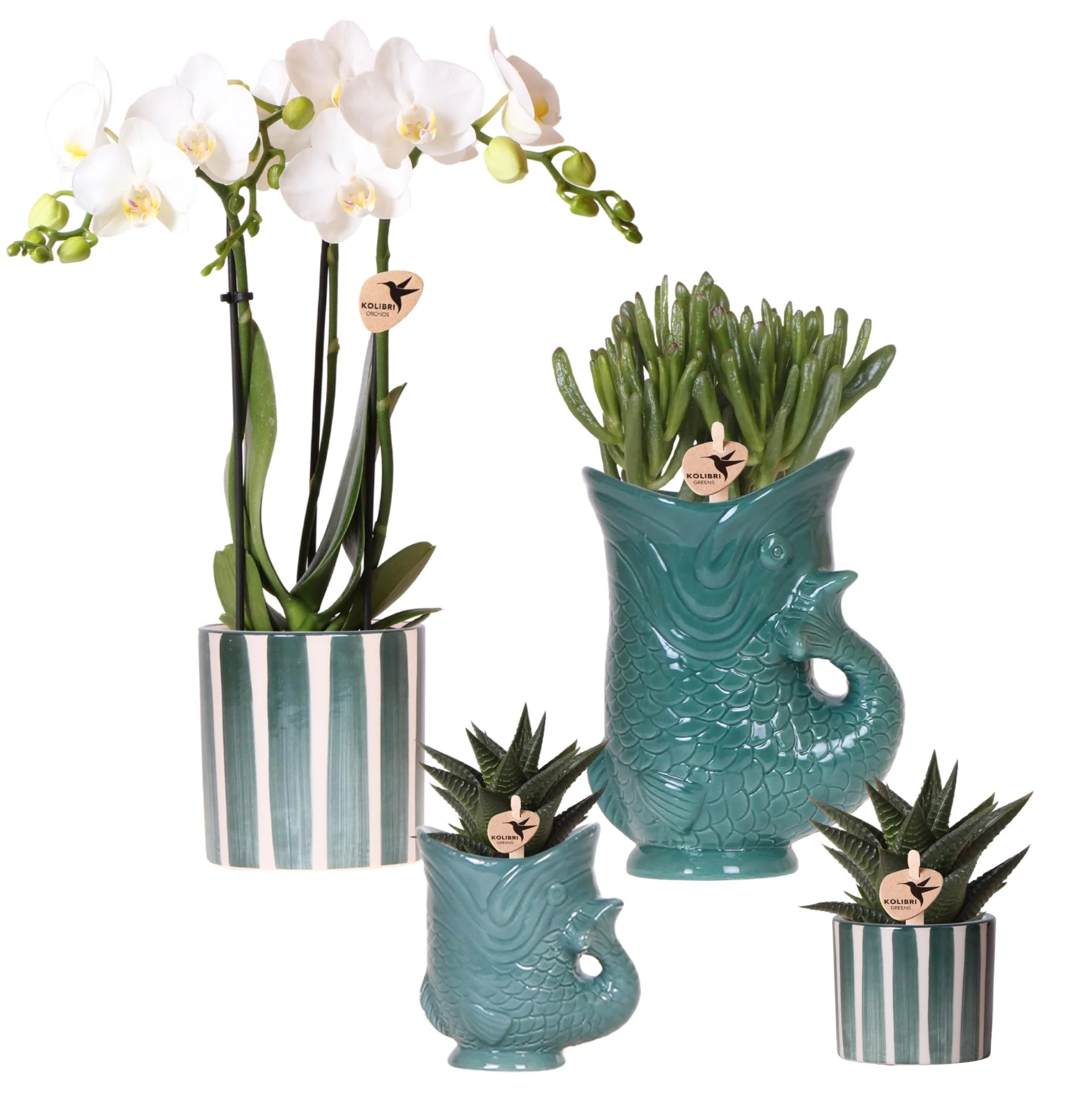Miniatuur 1