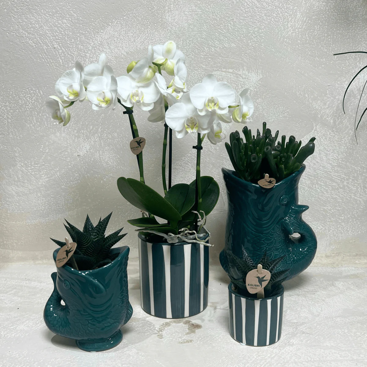 Miniatuur 2