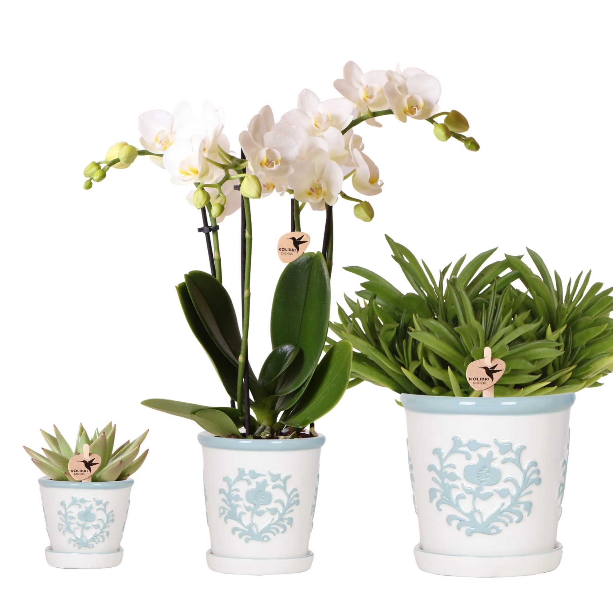 Miniatuur 1