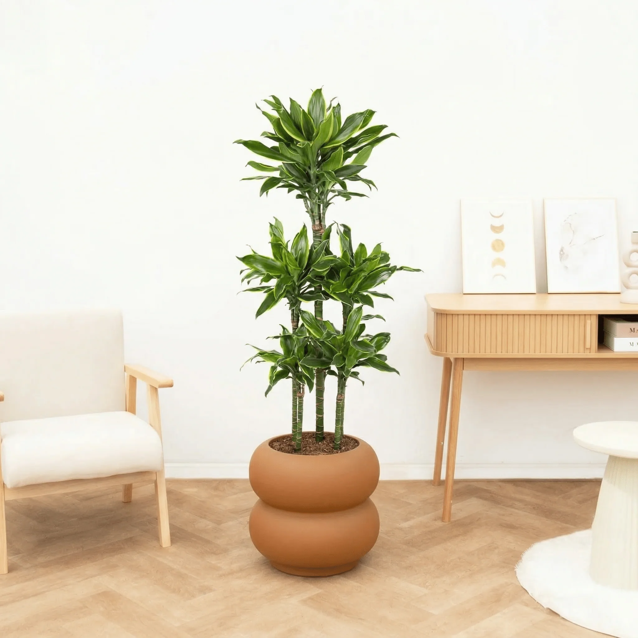 Miniatuur 1