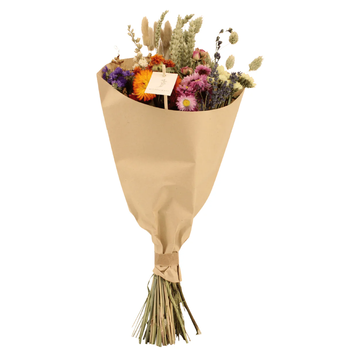 Miniatuur 1