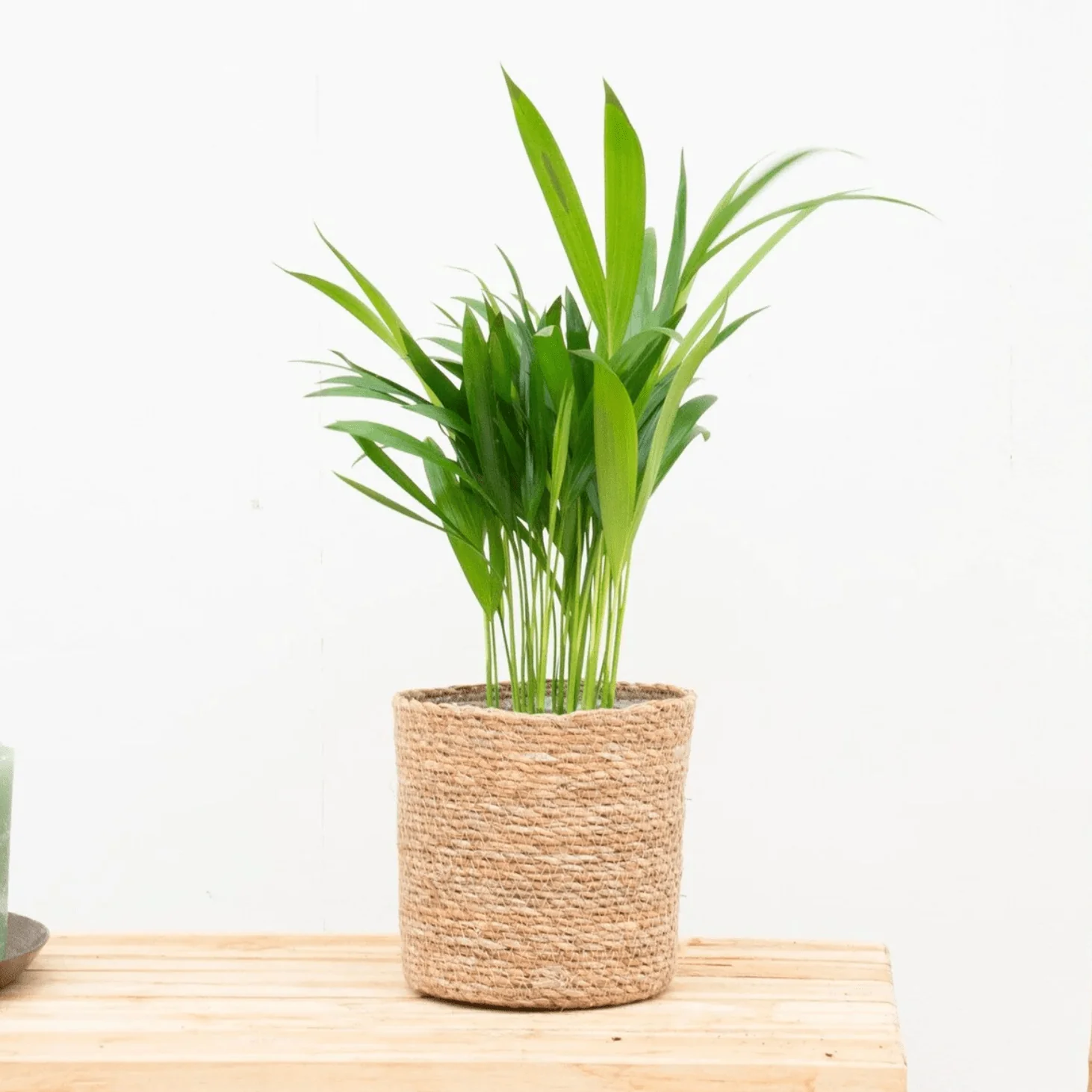 Miniatuur 1