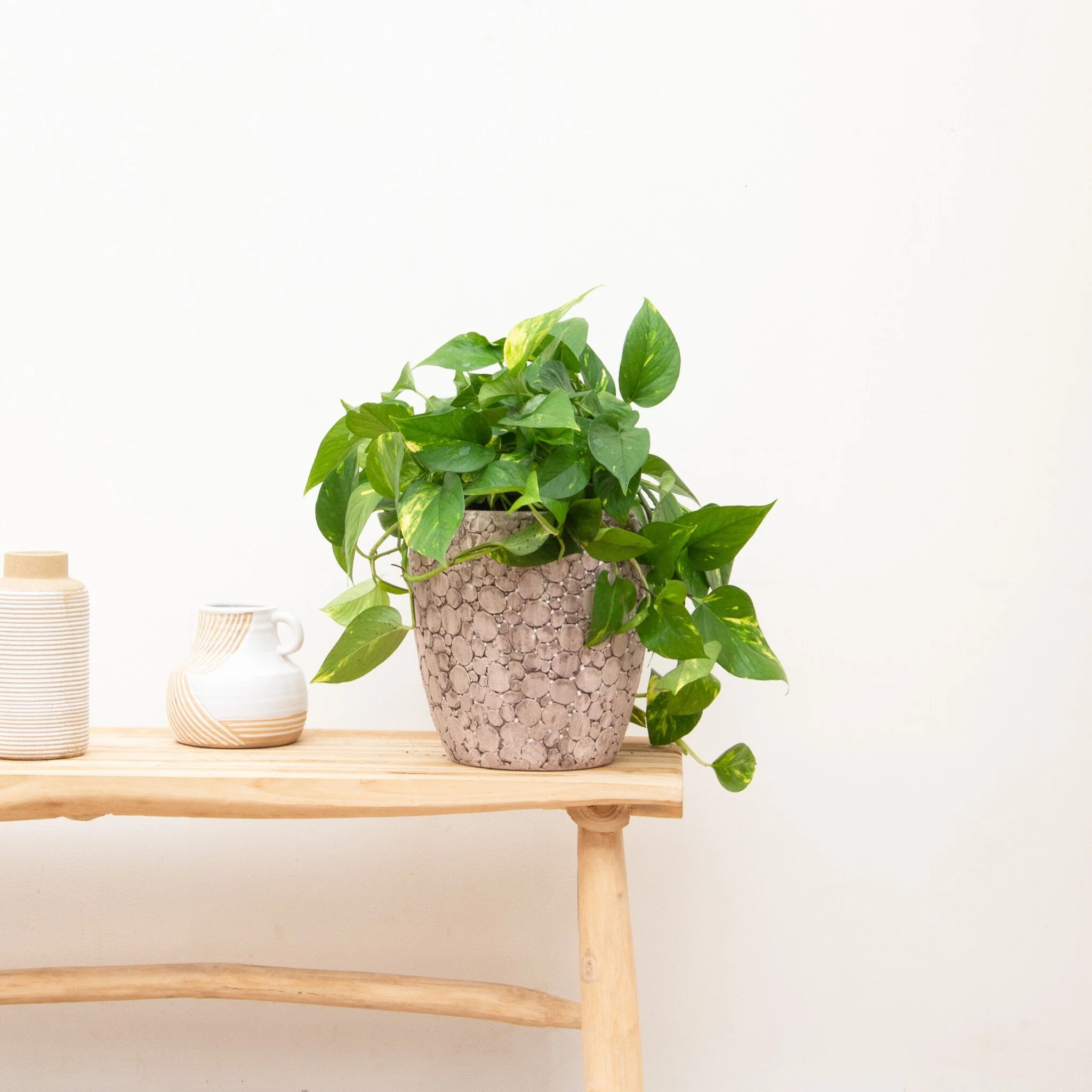 Miniatuur 2
