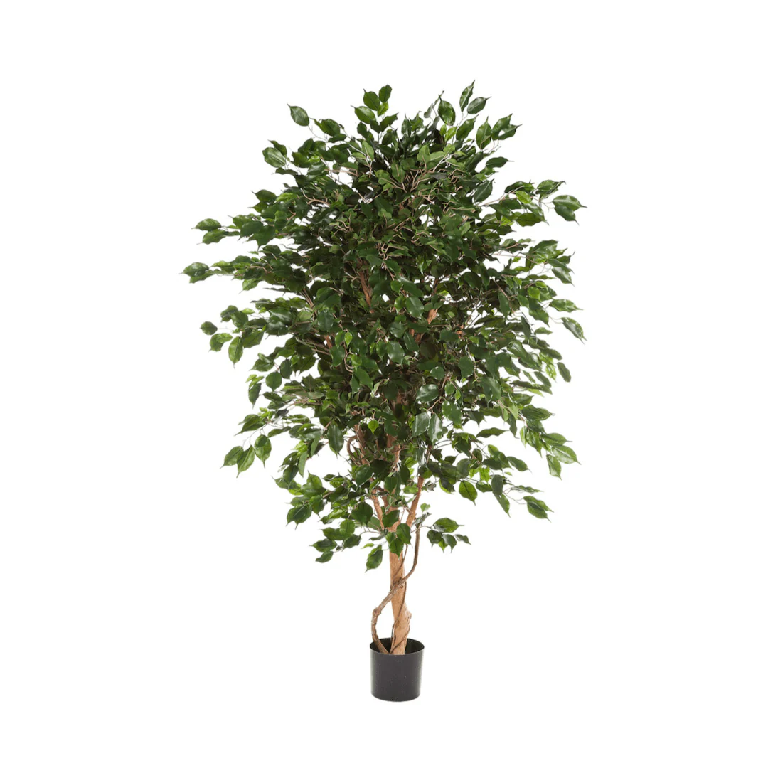 Miniatuur 1