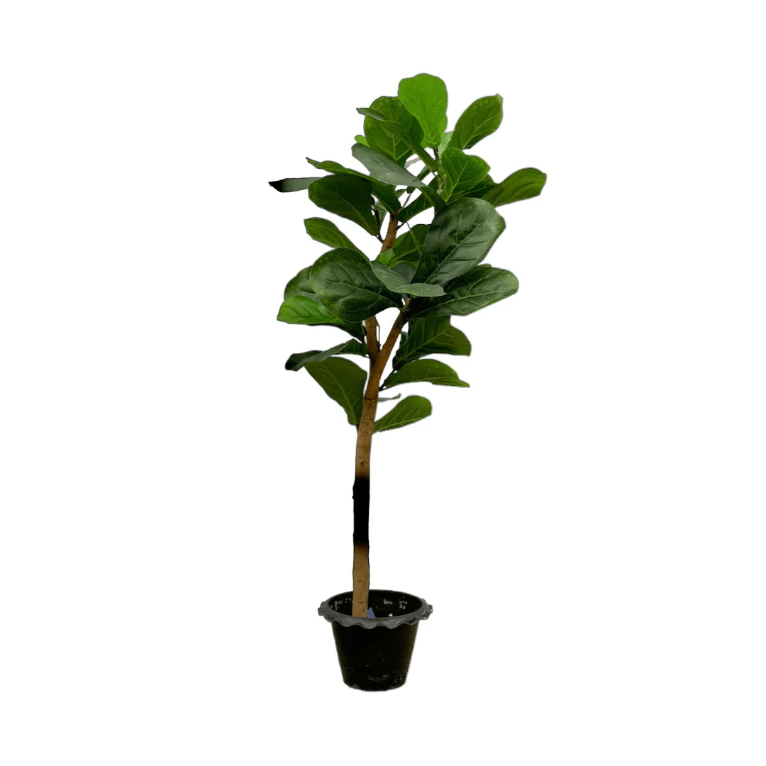 Miniatuur 1