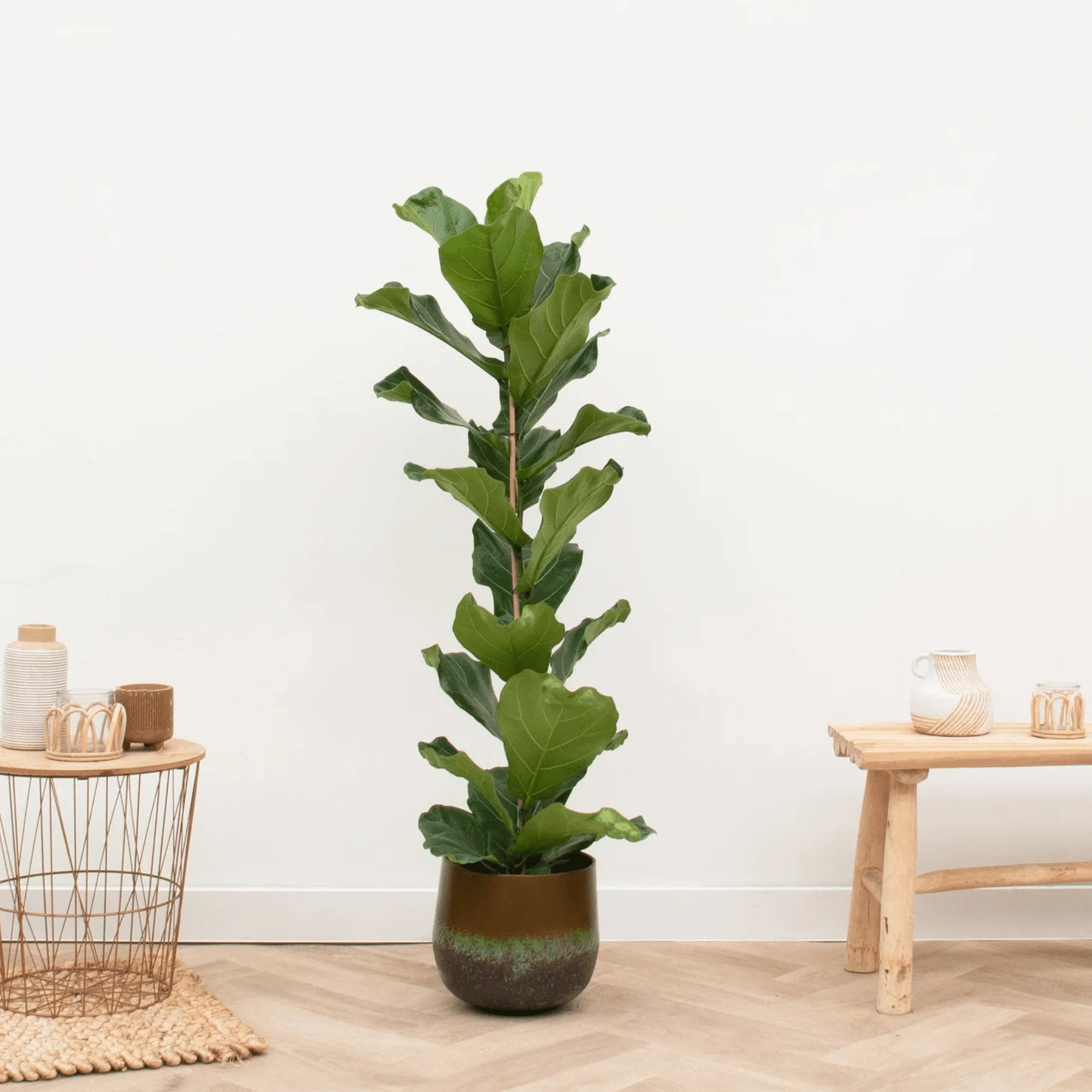 Miniatuur 1