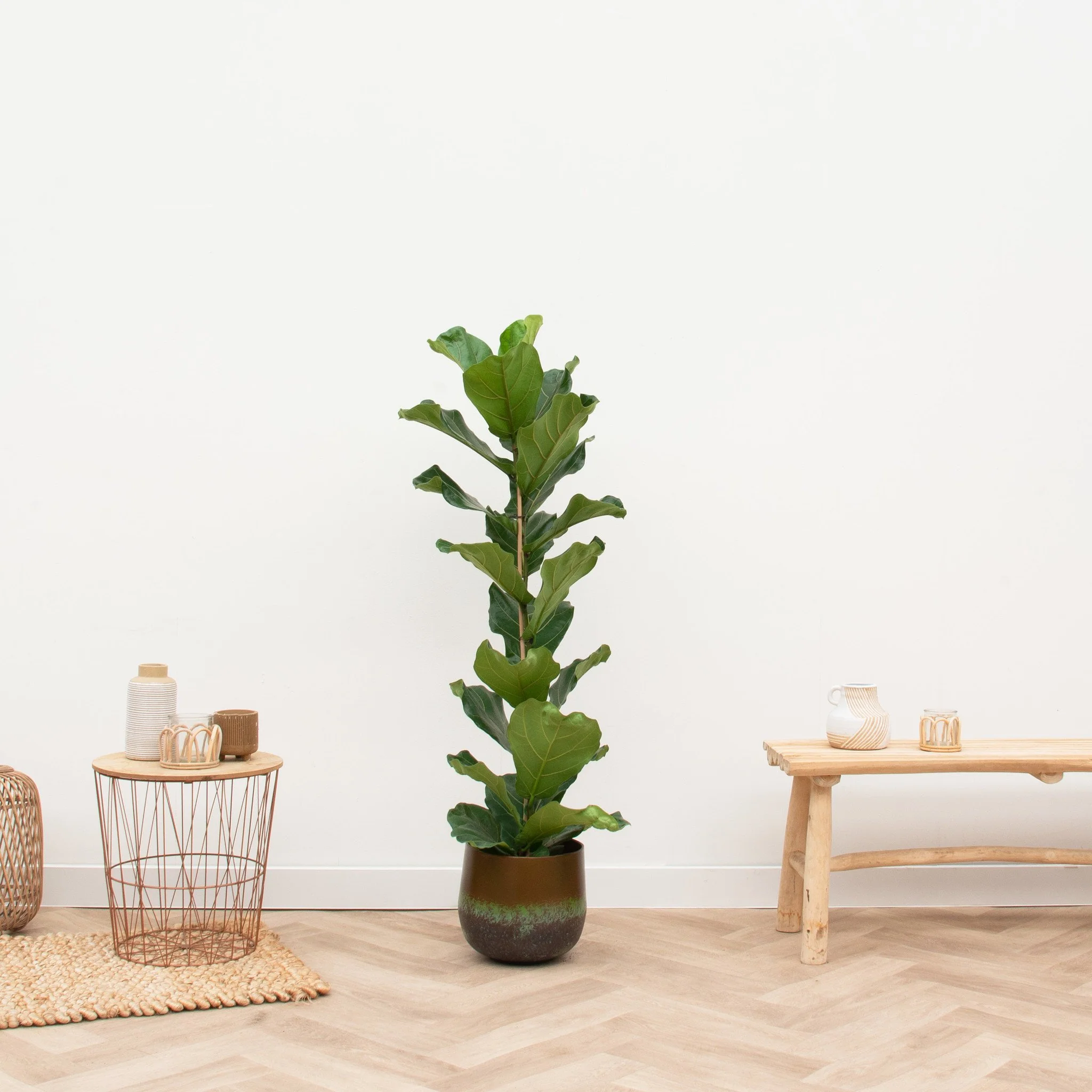 Miniatuur 2