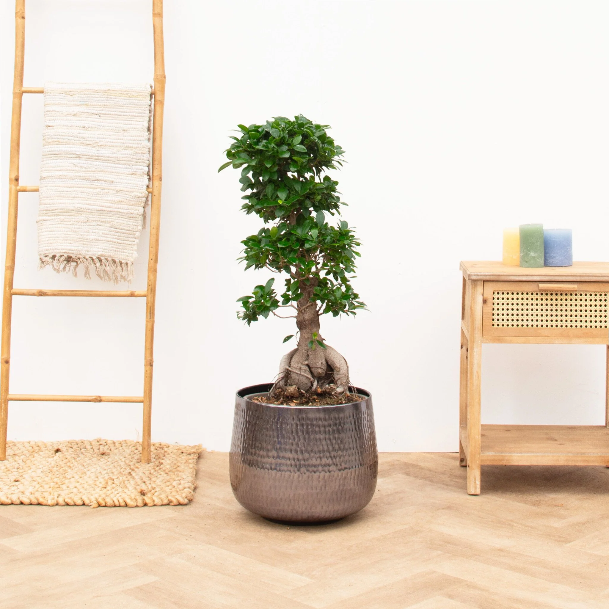 Miniatuur 1