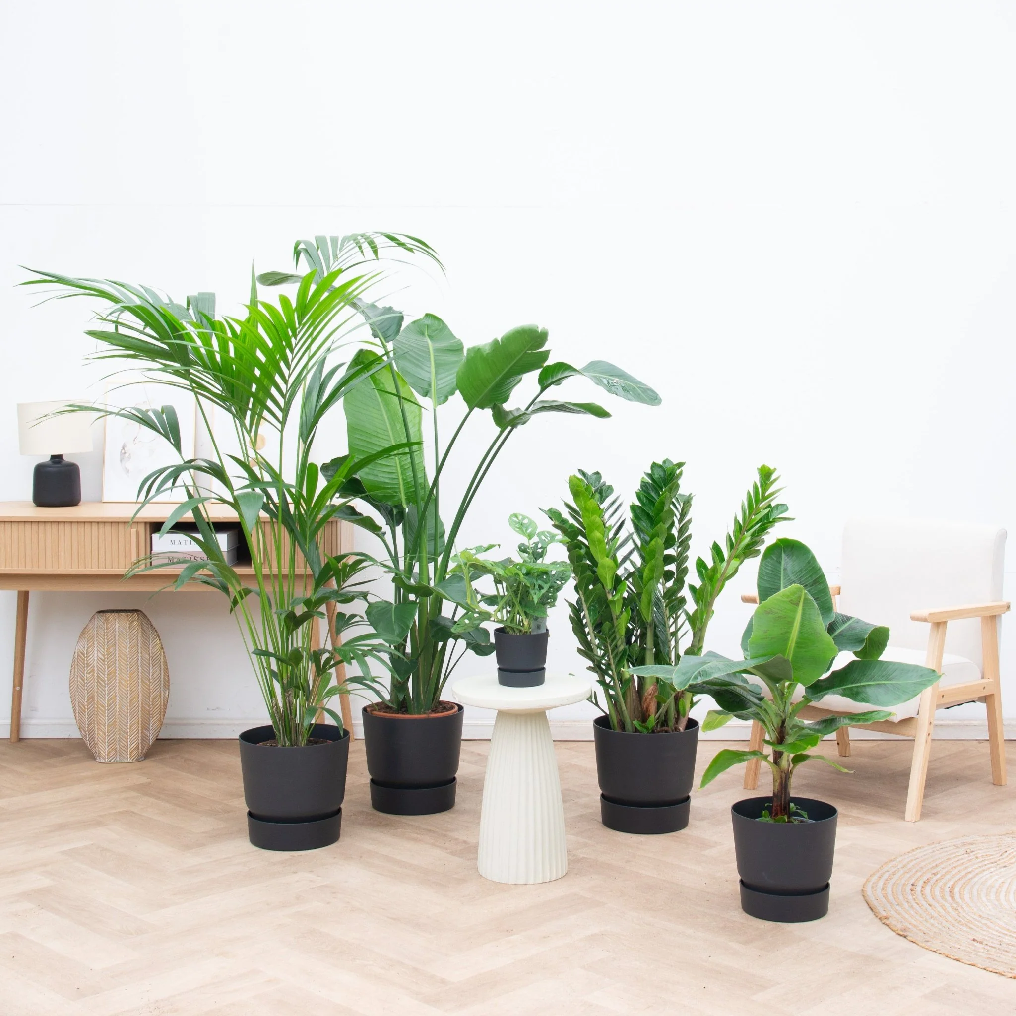 Miniatuur 1