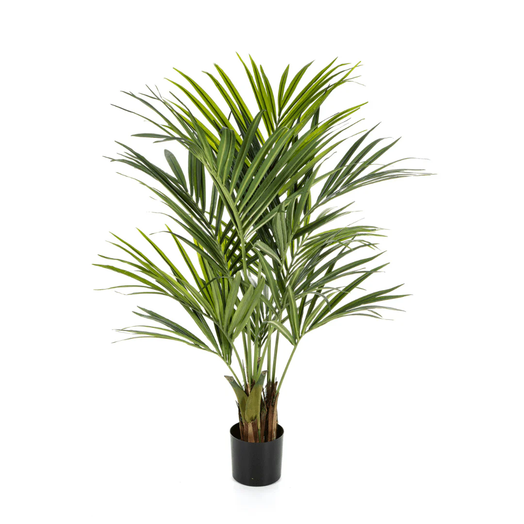 Miniatuur 1