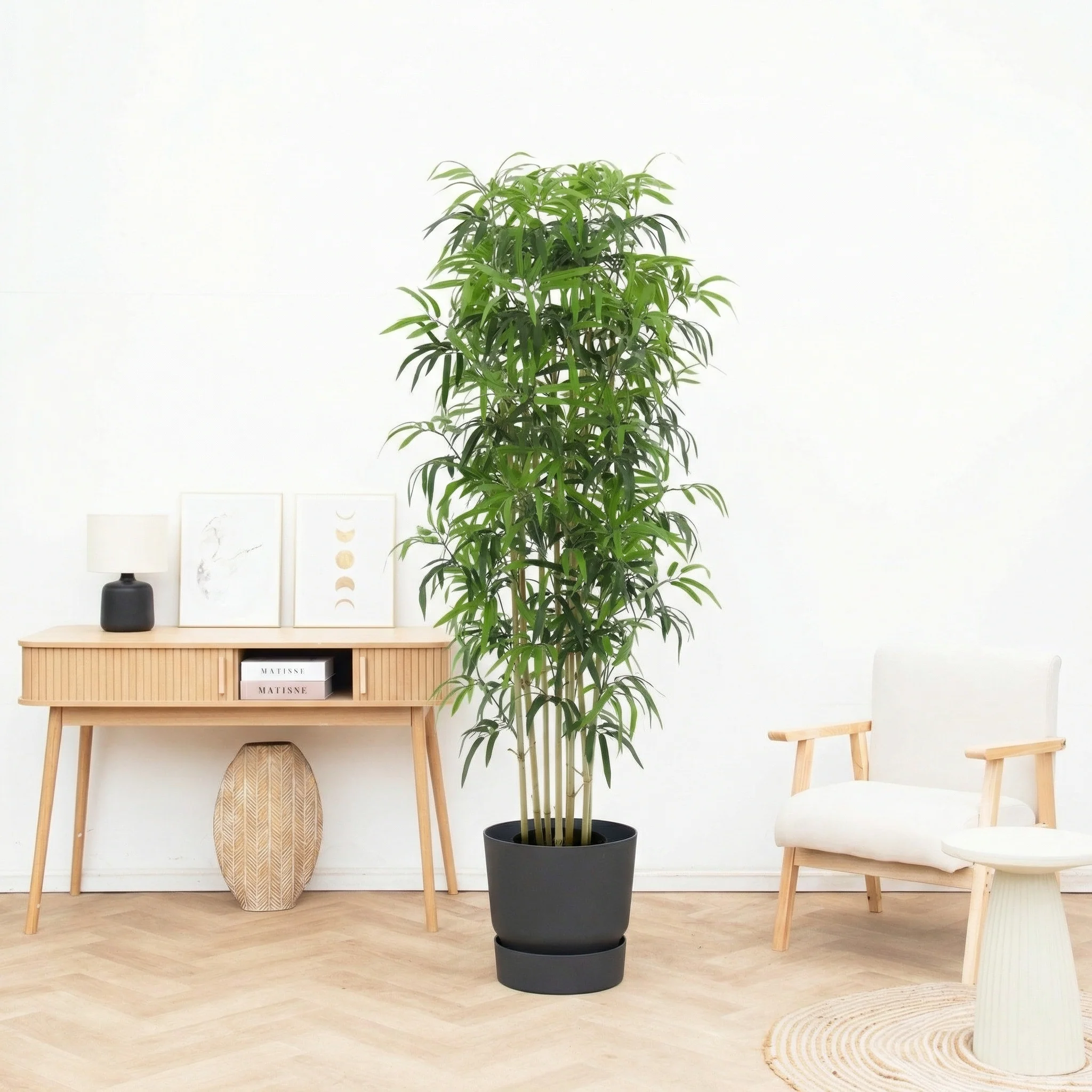 Miniatuur 1