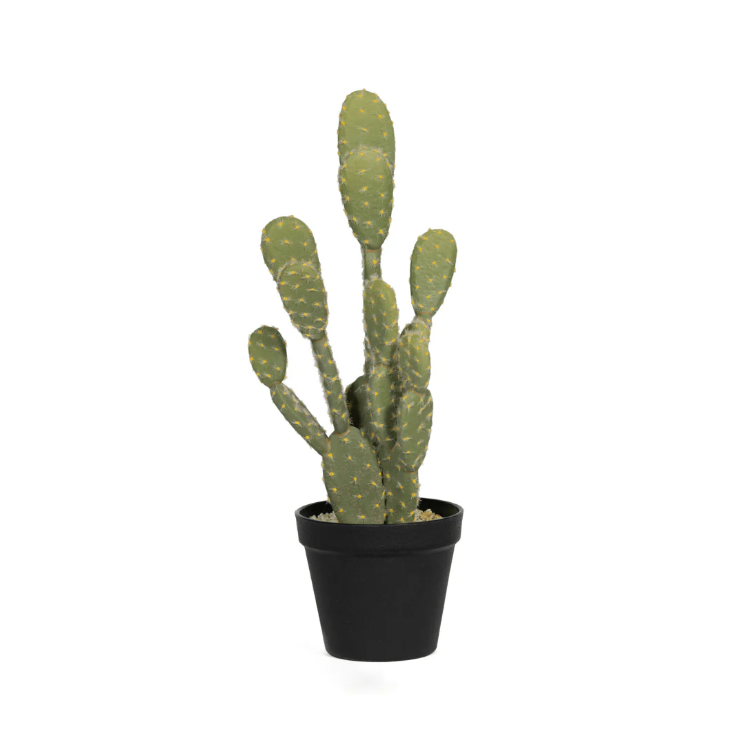Miniatuur 1