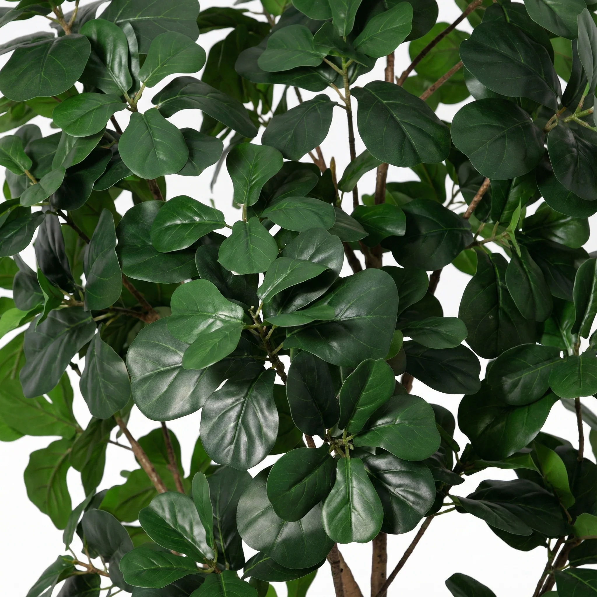 Miniatuur 2