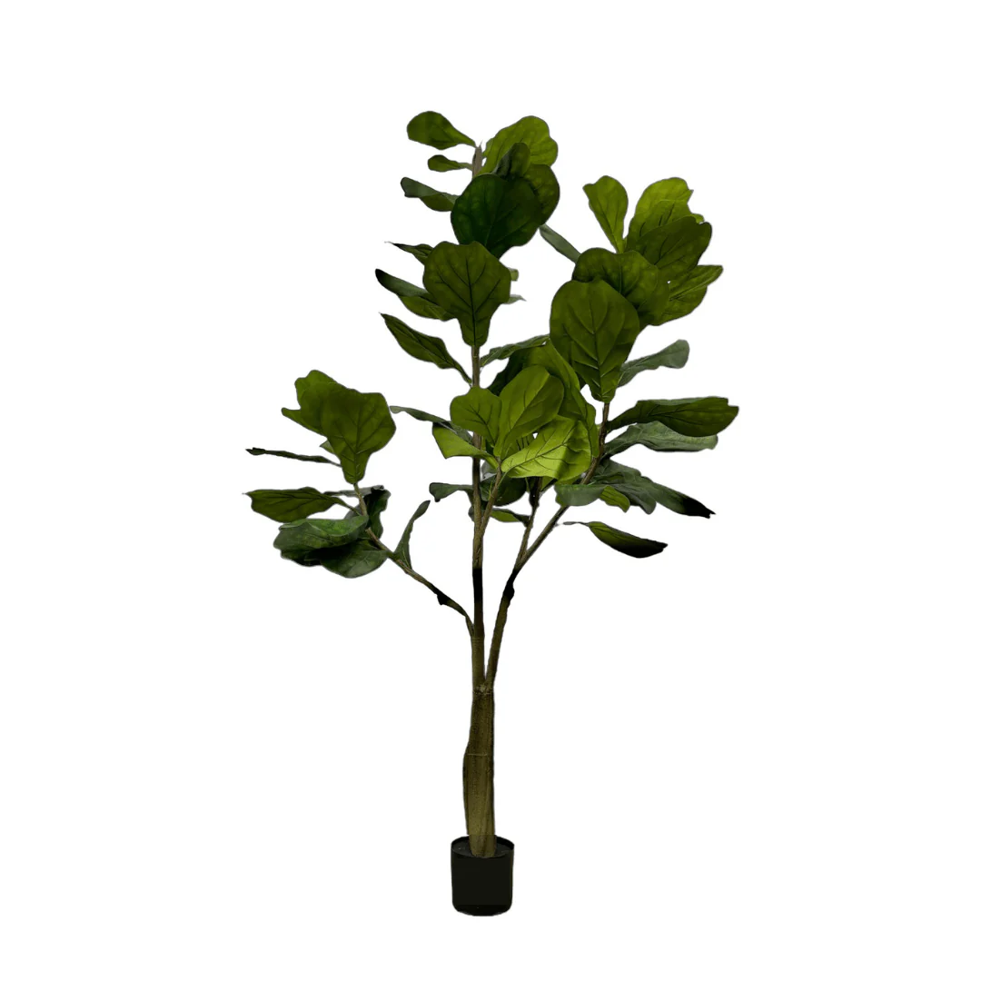 Miniatuur 2