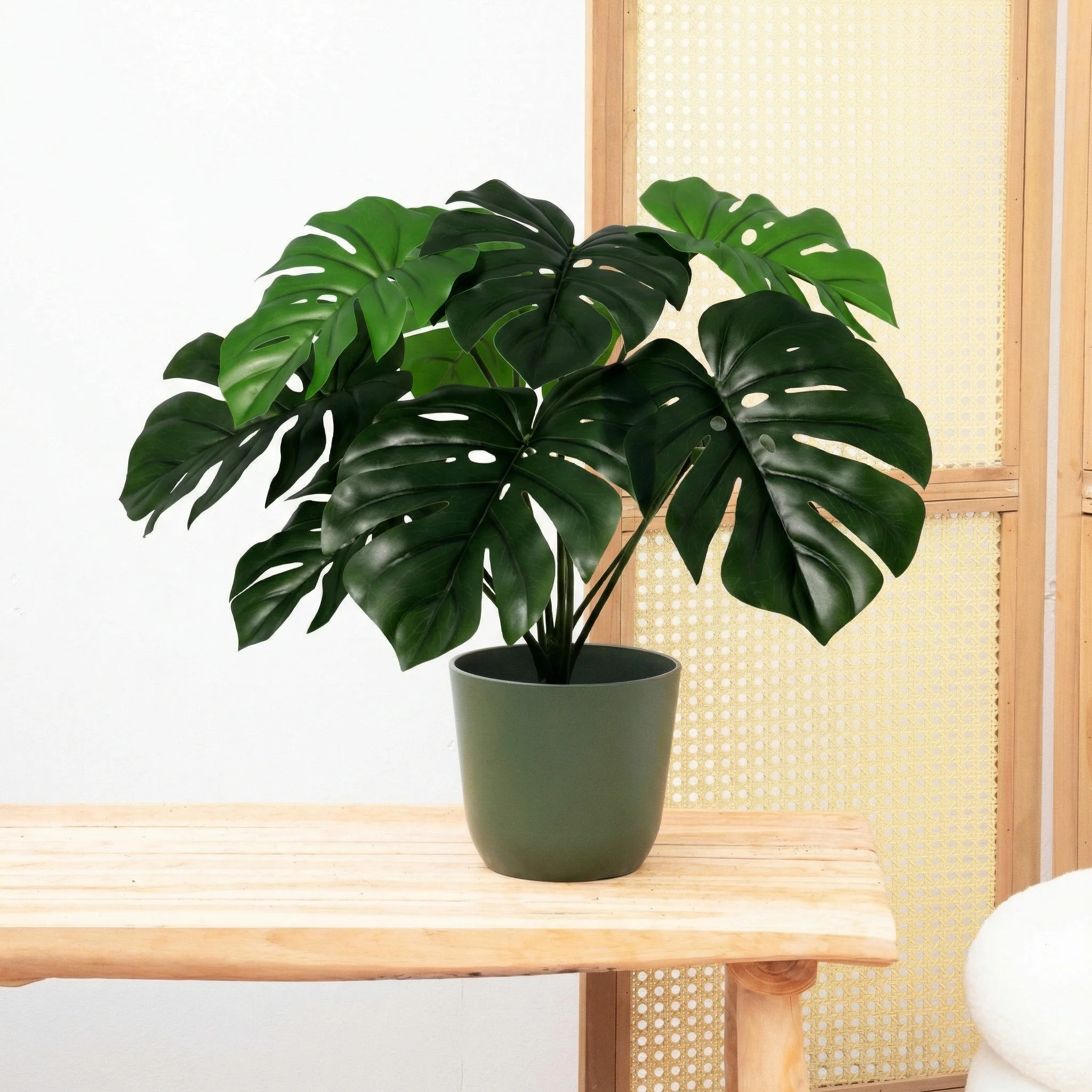 Kunst Monstera
