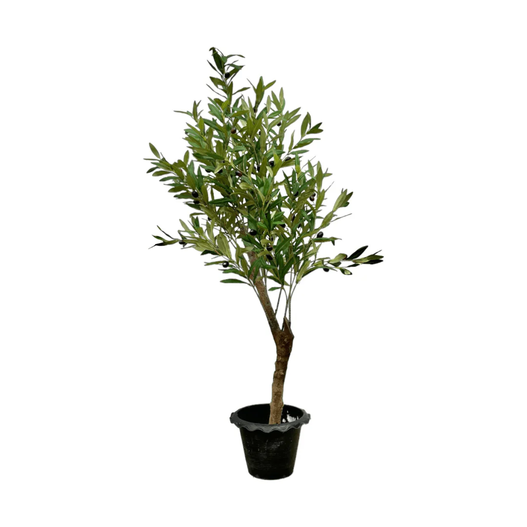 Miniatuur 1