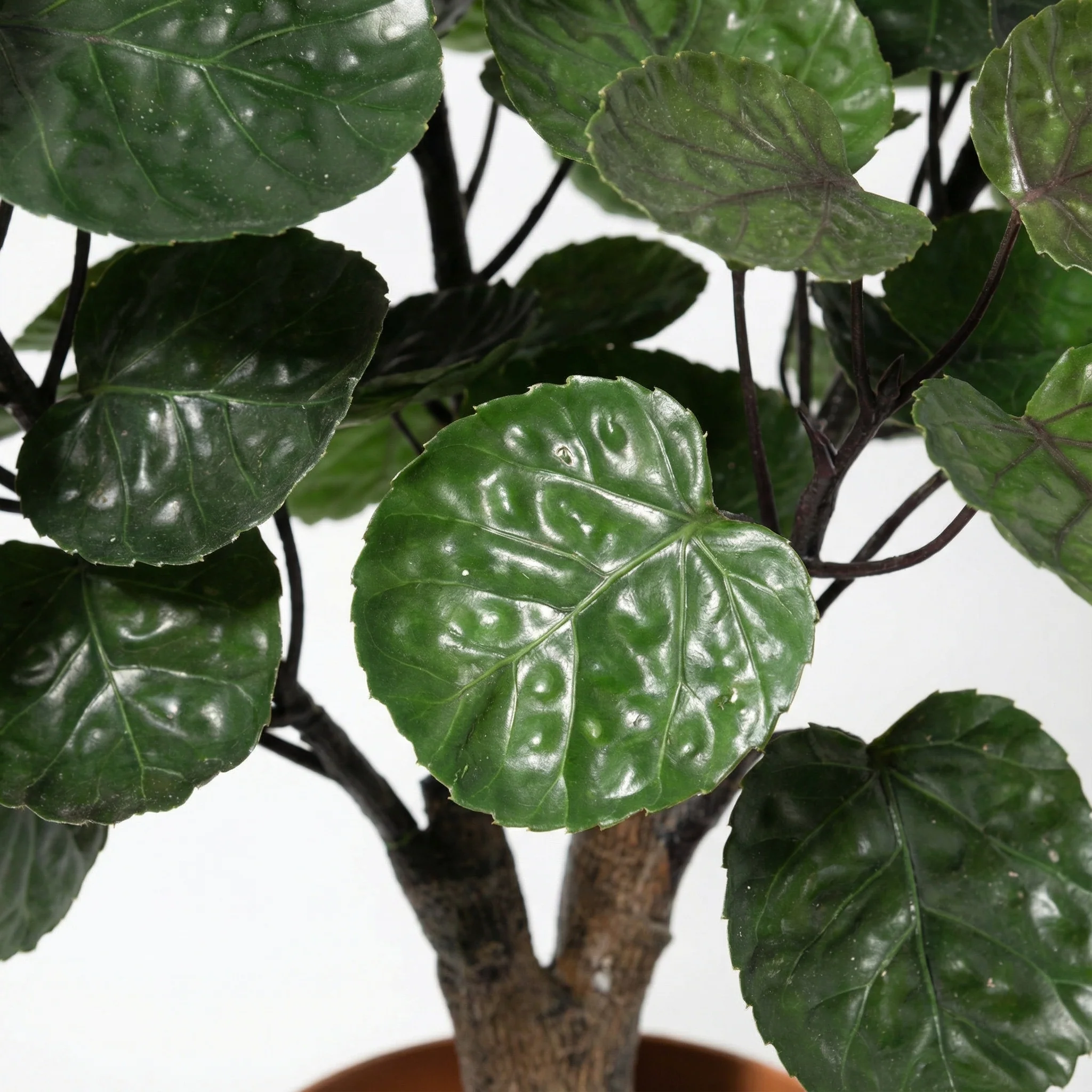 Miniatuur 2