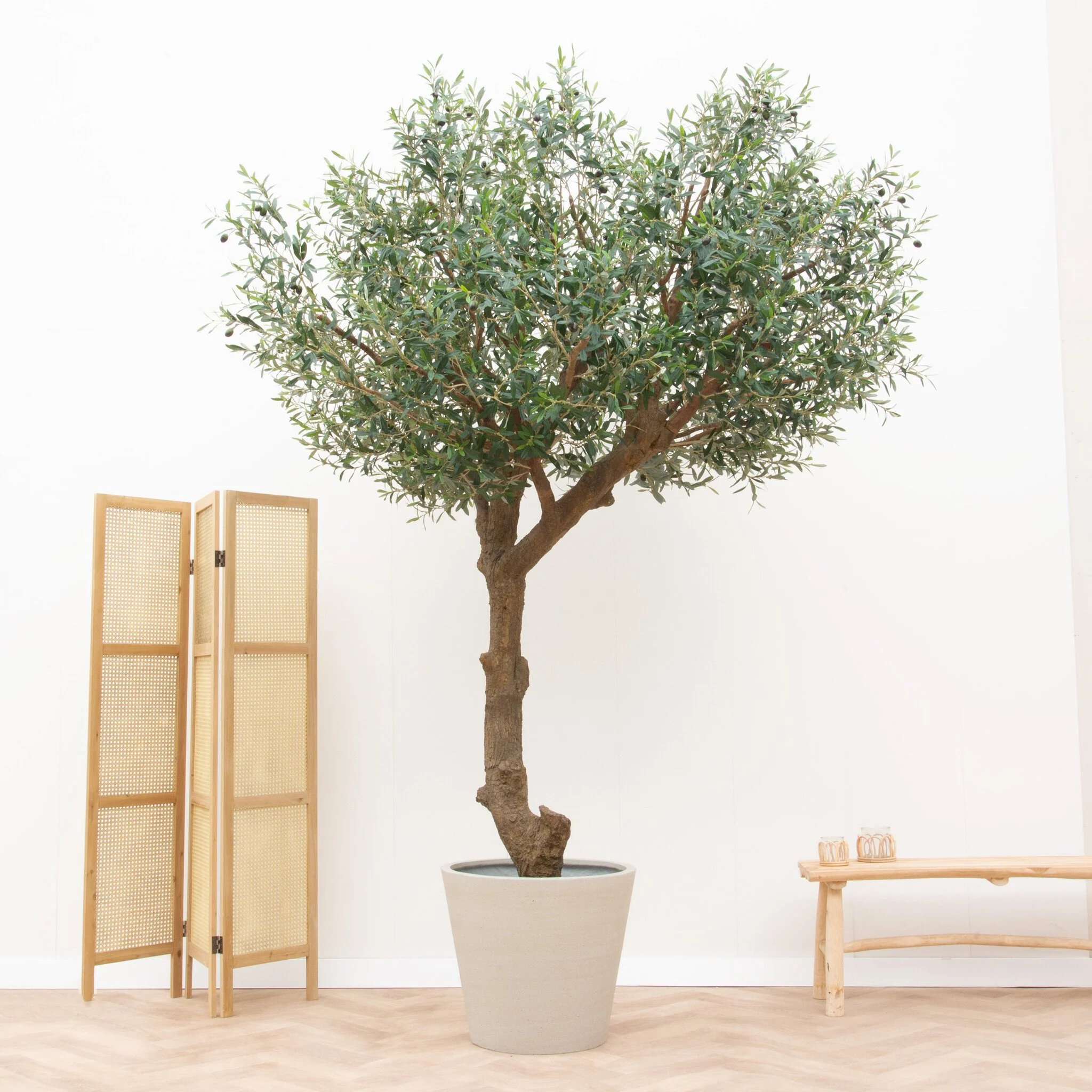 Miniatuur 1