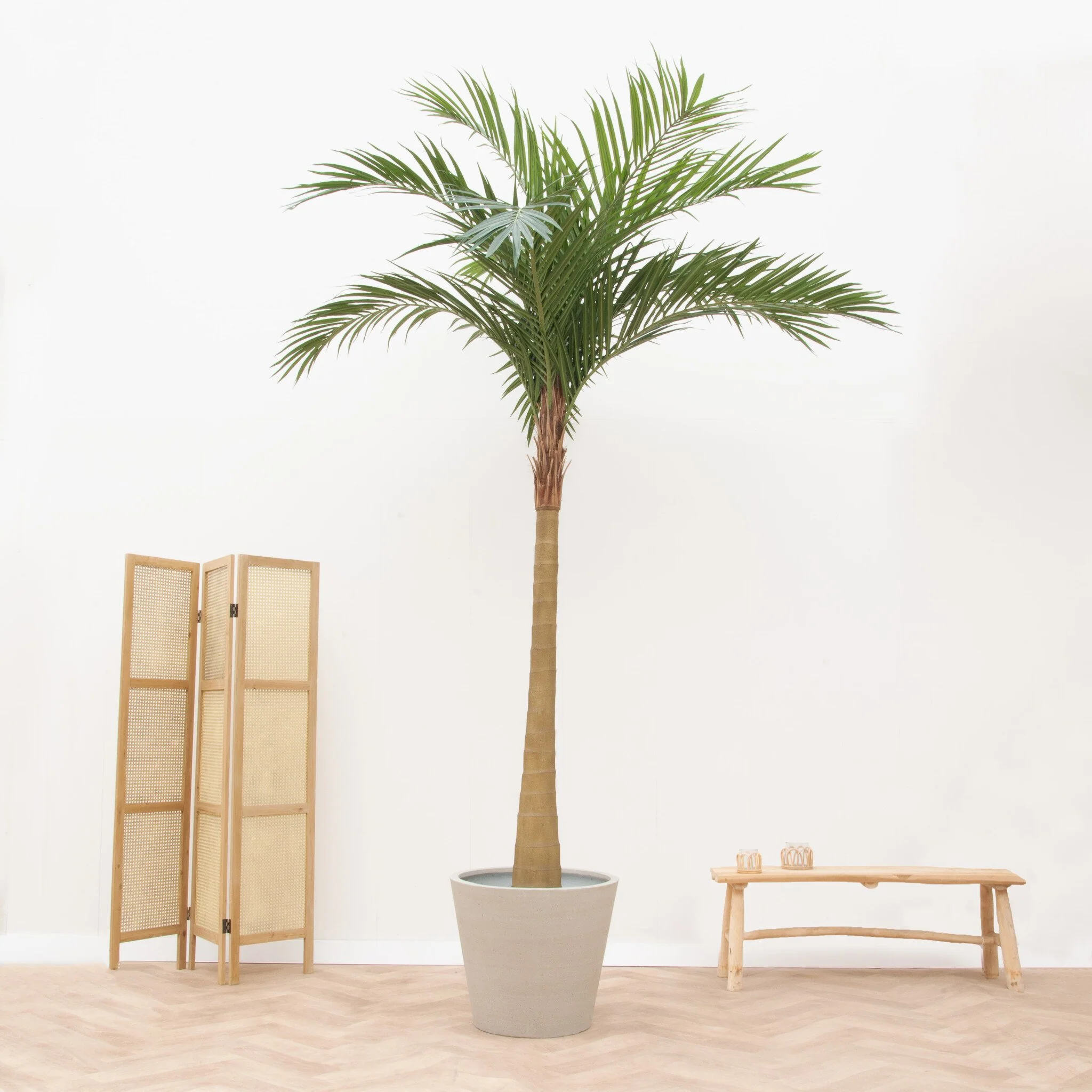 Miniatuur 1