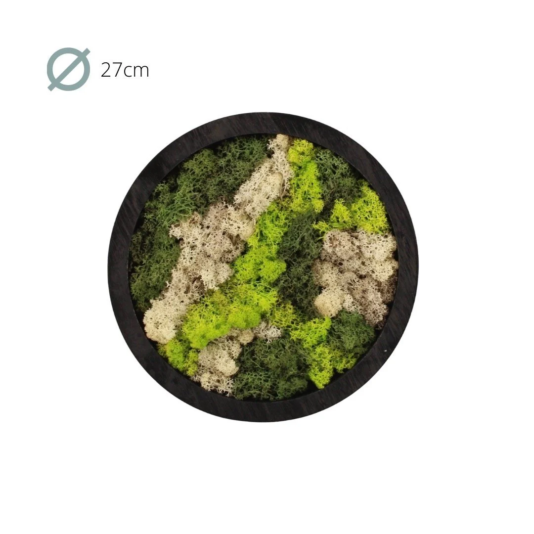 Miniatuur 2