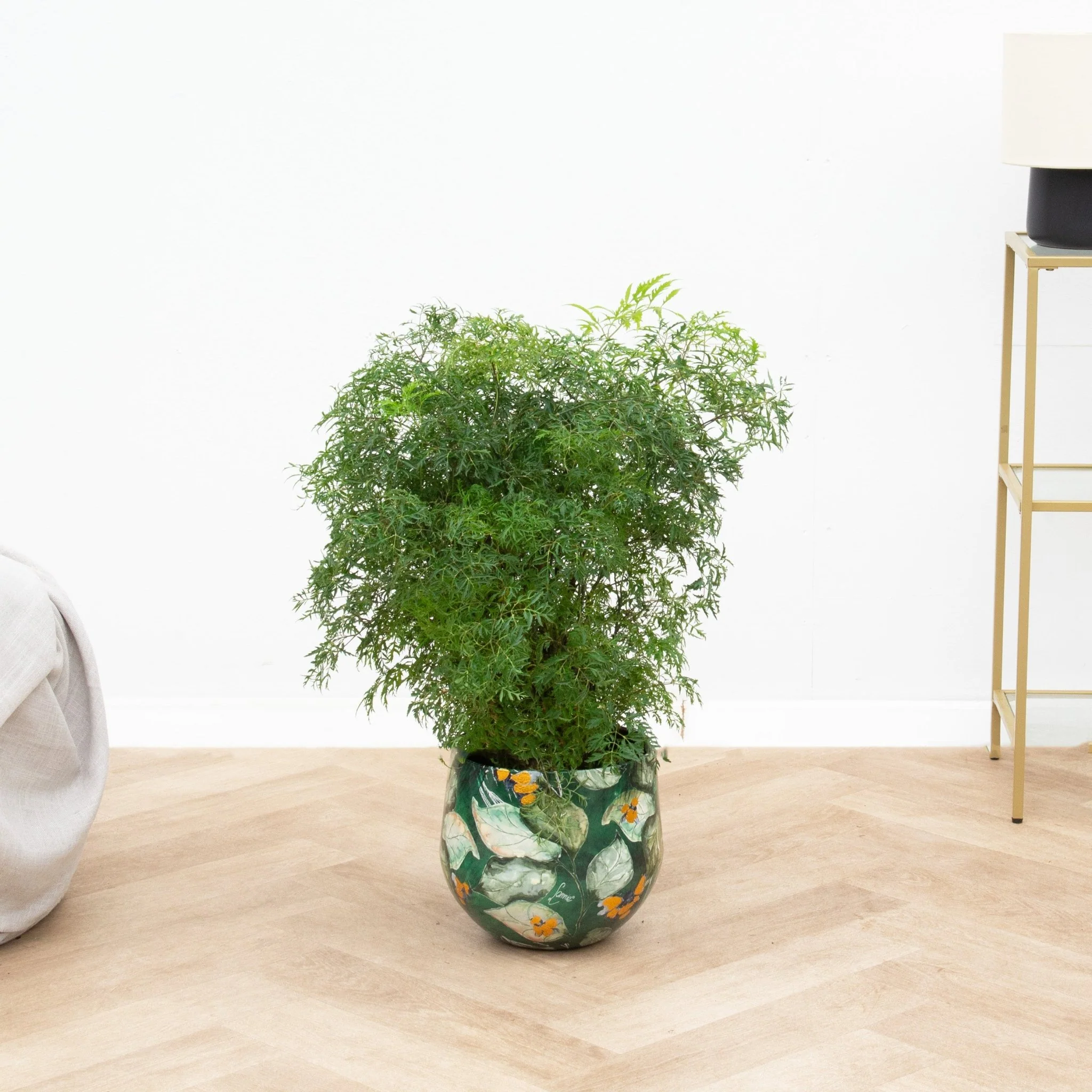 Miniatuur 1