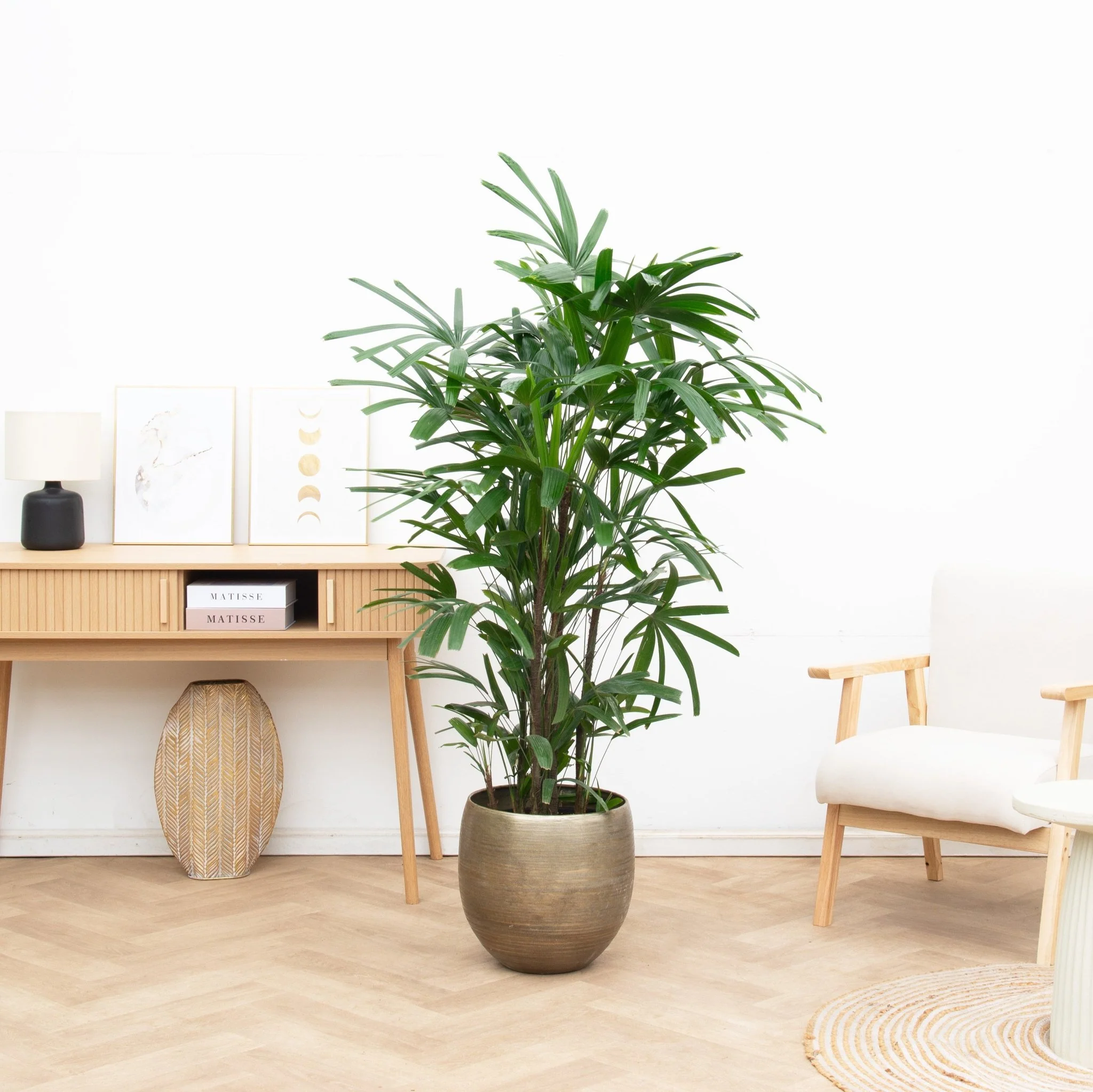 Productafbeelding 1