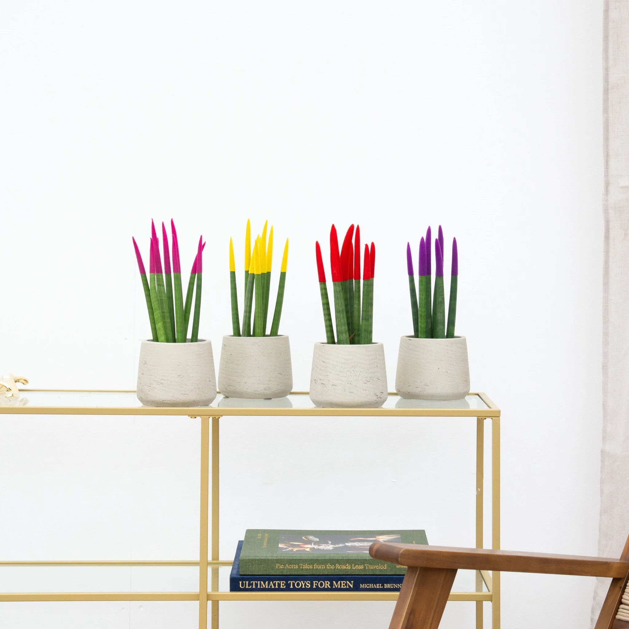 Miniatuur 1