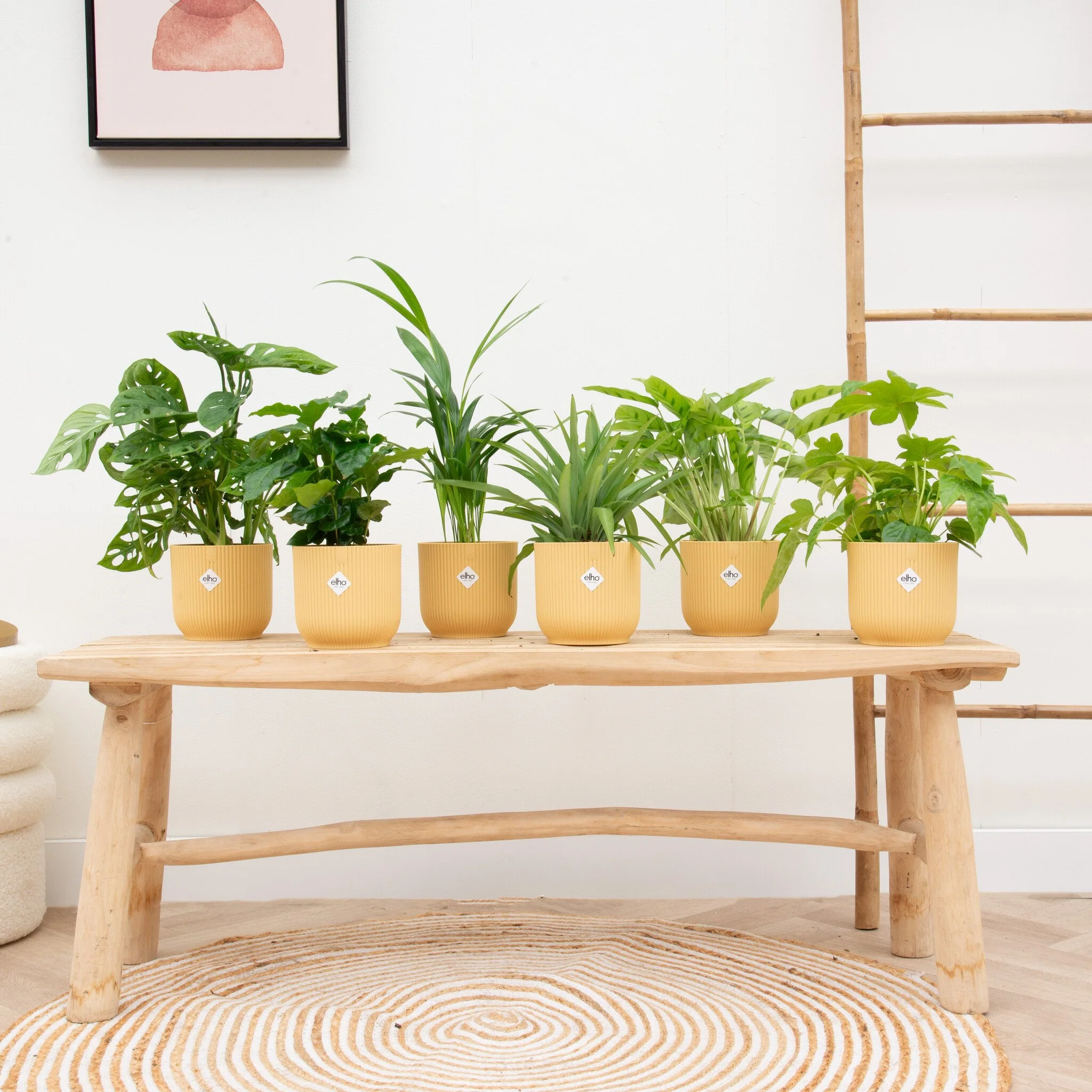 Miniatuur 2