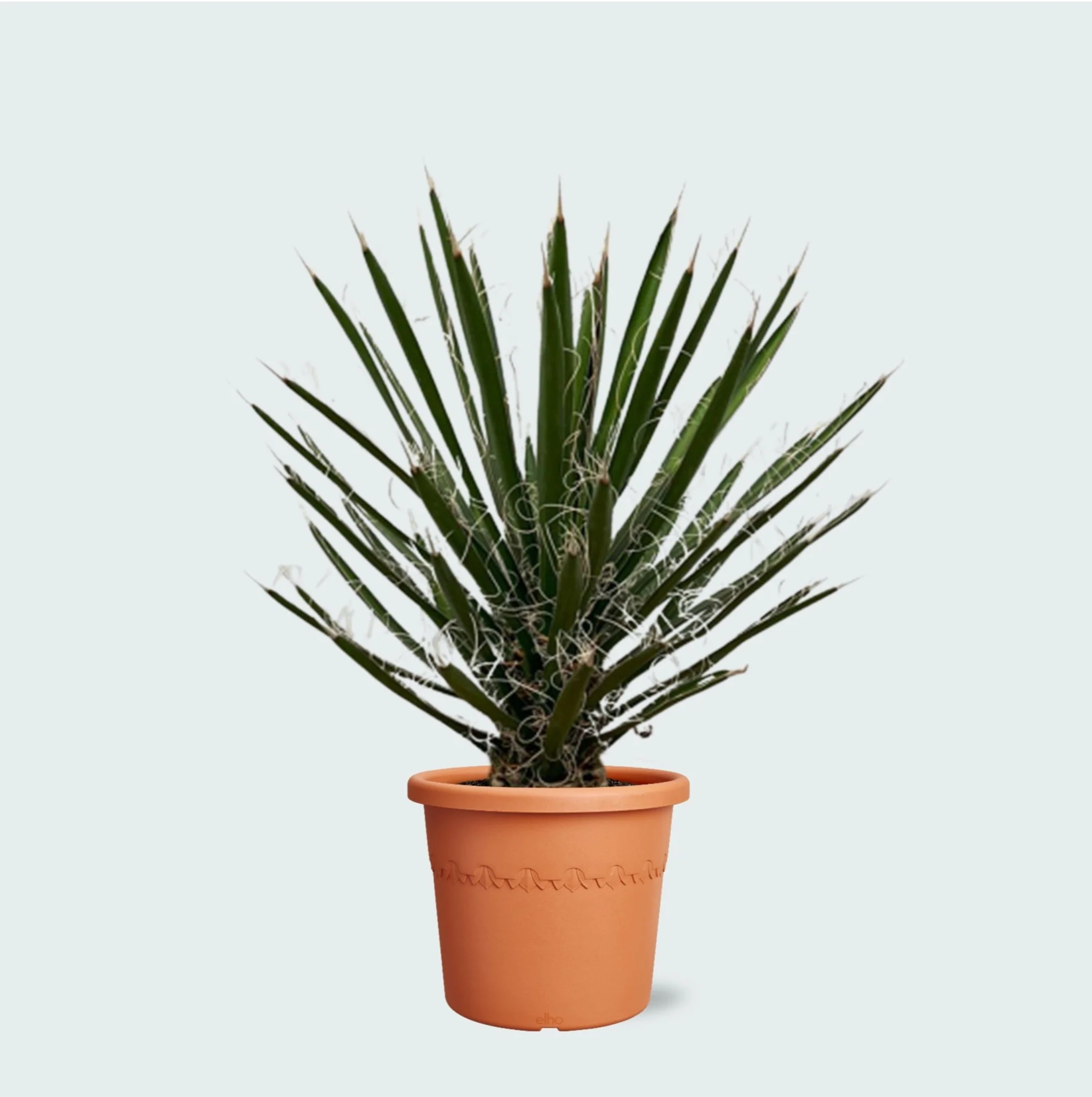 Miniatuur 1