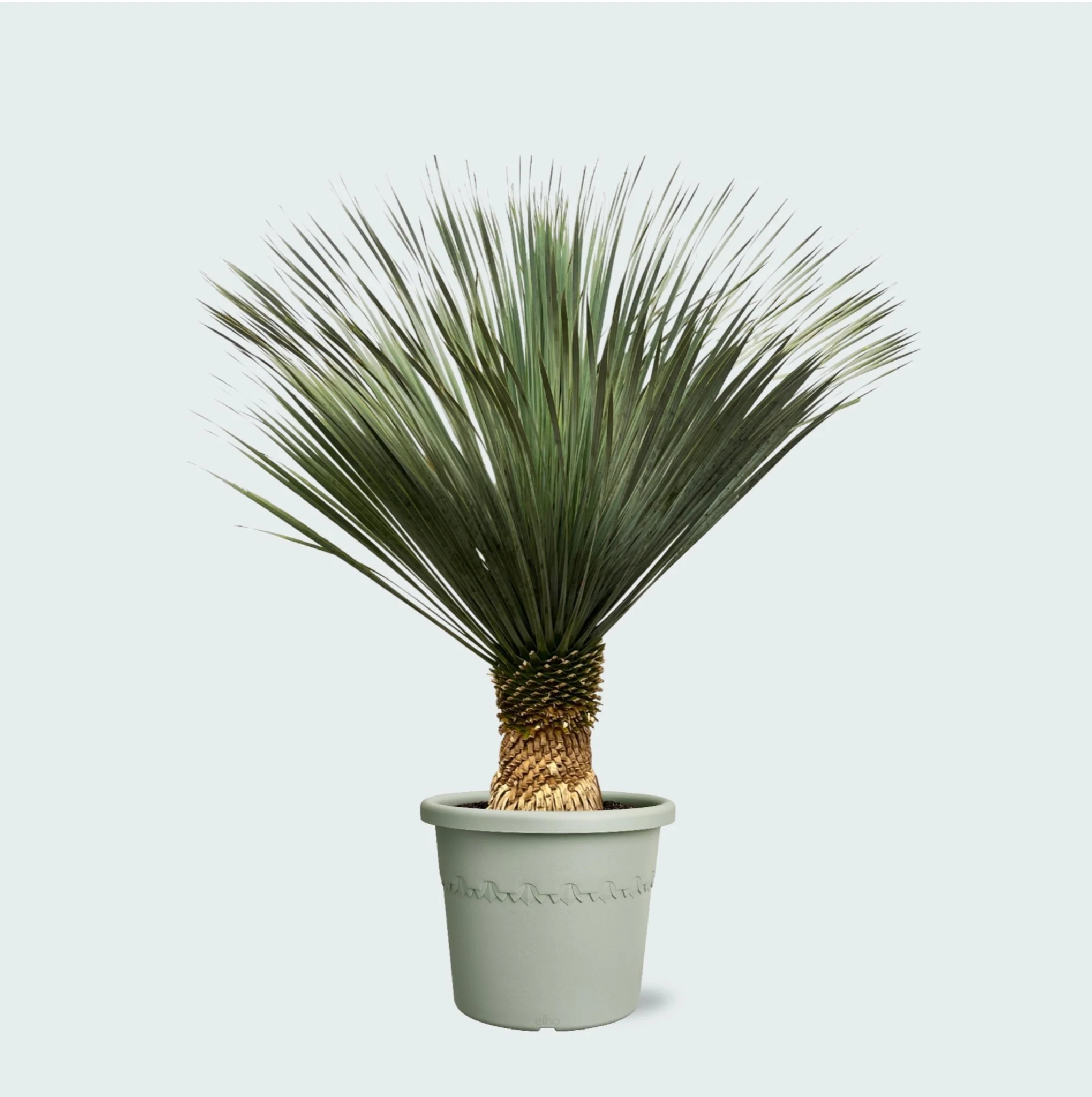 Miniatuur 1