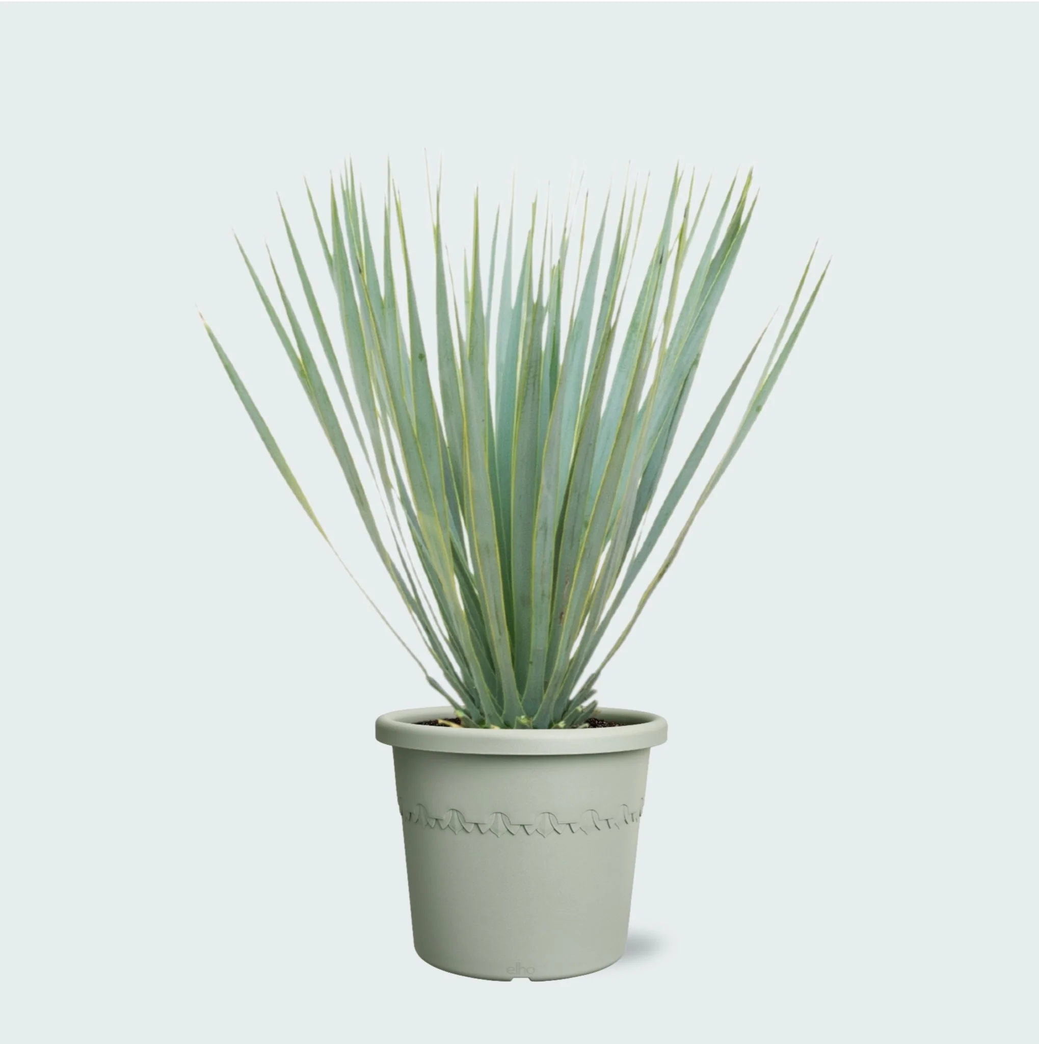 Miniatuur 1